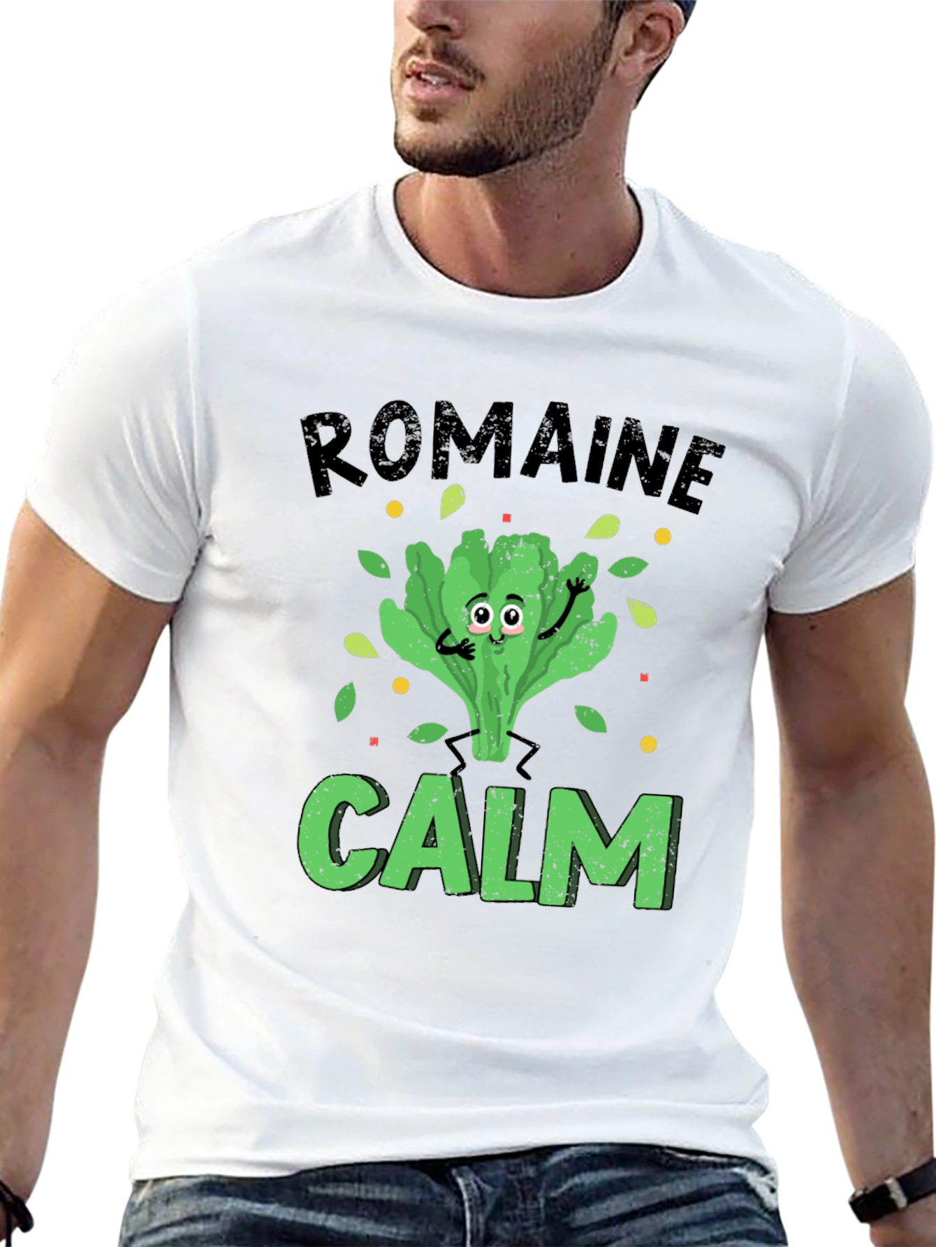Romaine Calm Mens Graphic T-Shirt Black