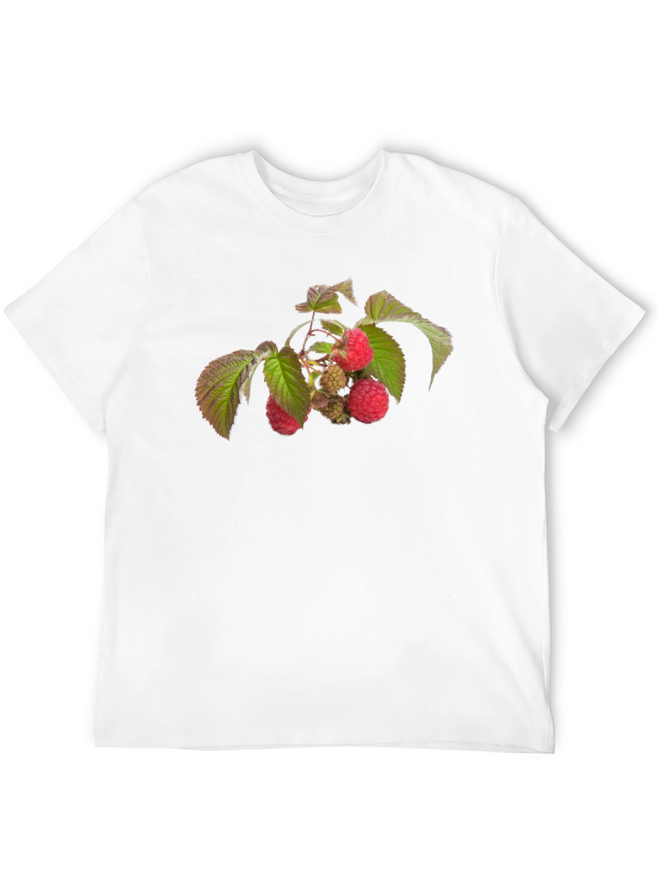 Raspberry Branch Graphic Black T-Shirt