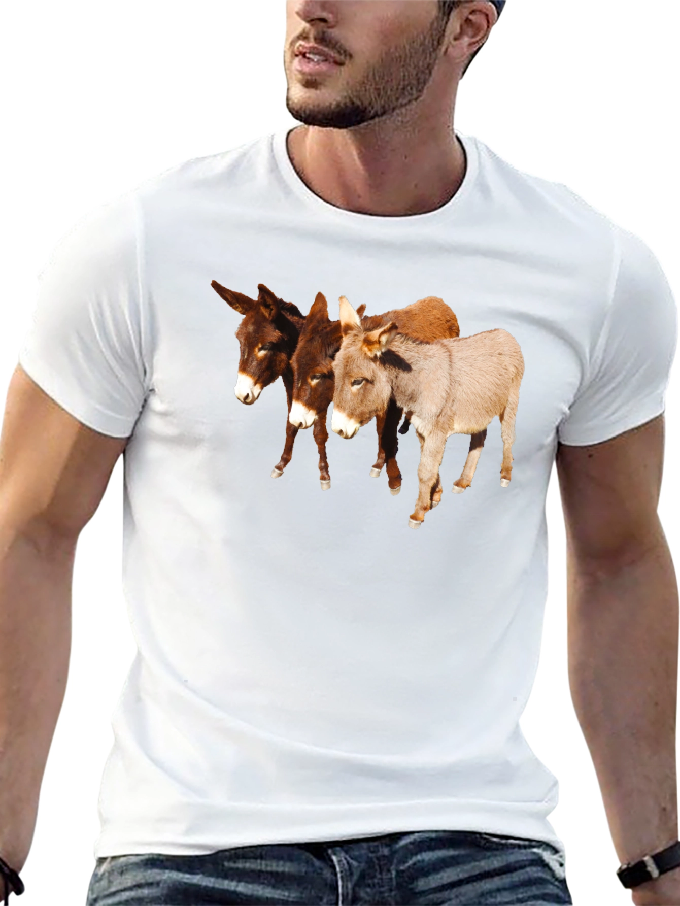 Novelty Donkey T-Shirt
