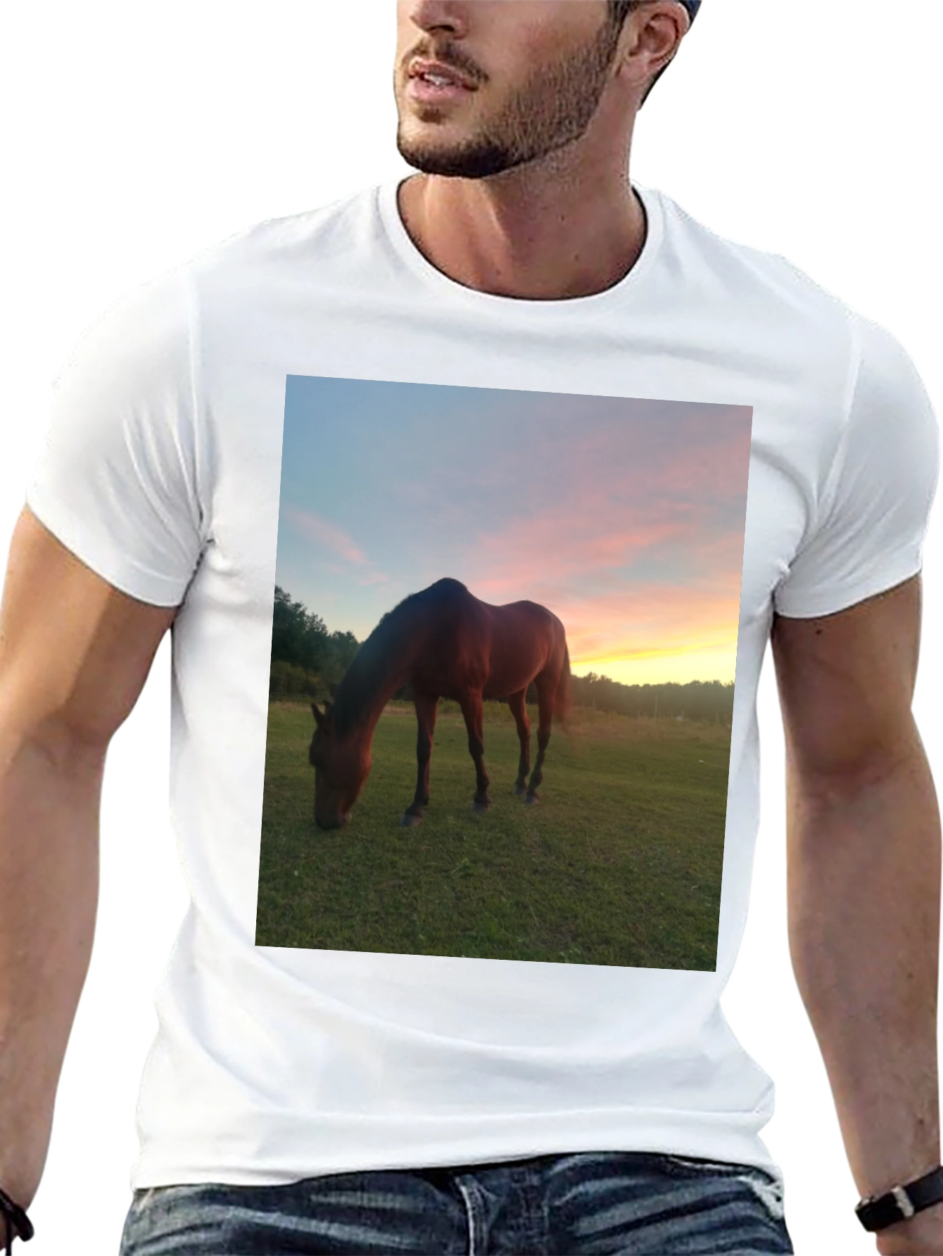 Horse Sunset Graphic Tee - Nature Lover Shirt