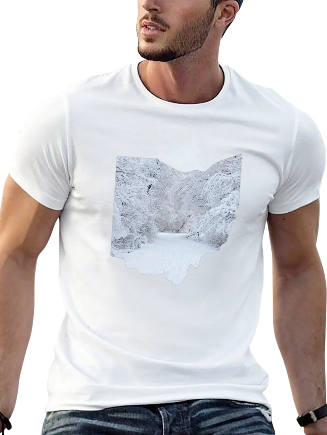 Ohio Winter Scene Graphic Tee