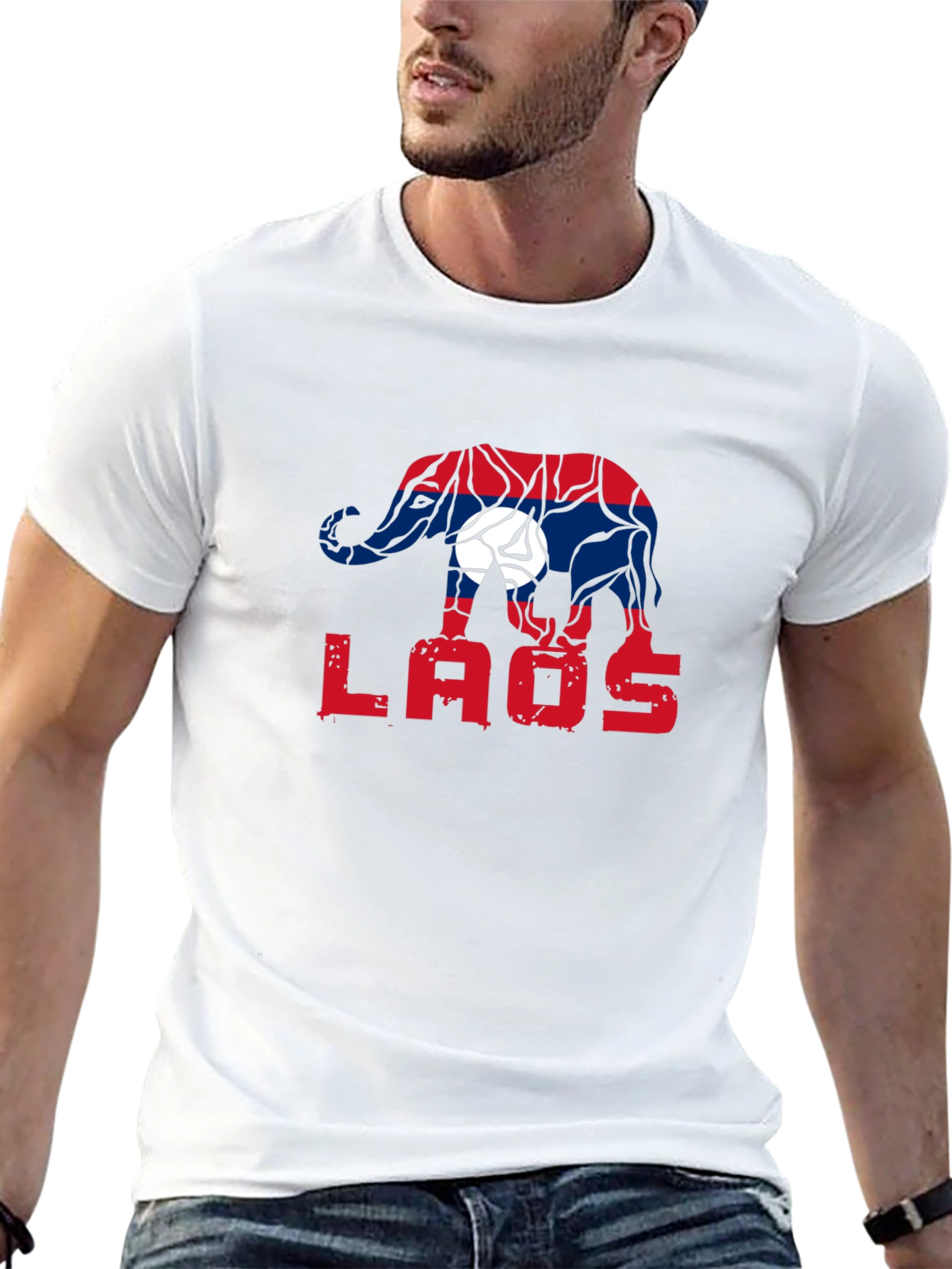 Laos Elephant Flag Graphic Tee