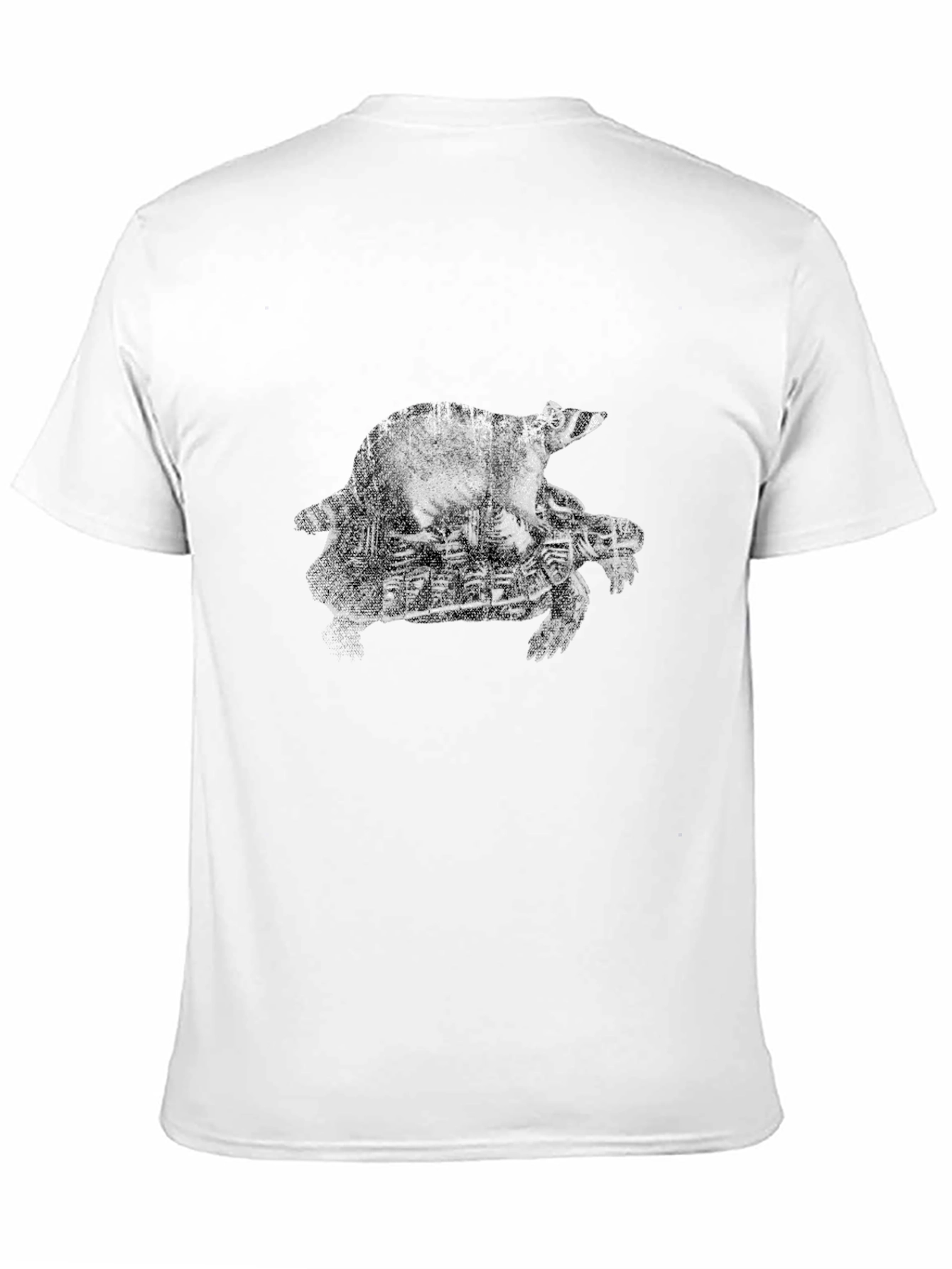 Raccoon Riding Turtle Graphic Tee