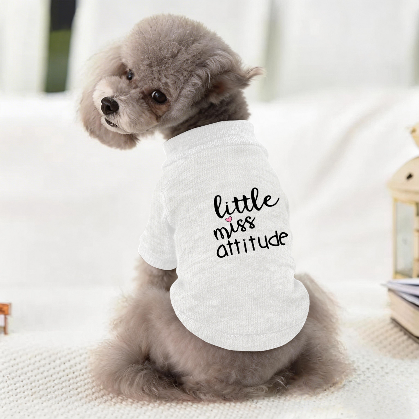 Little Miss Attitude Sassy Girly Pet Cozy Sweater