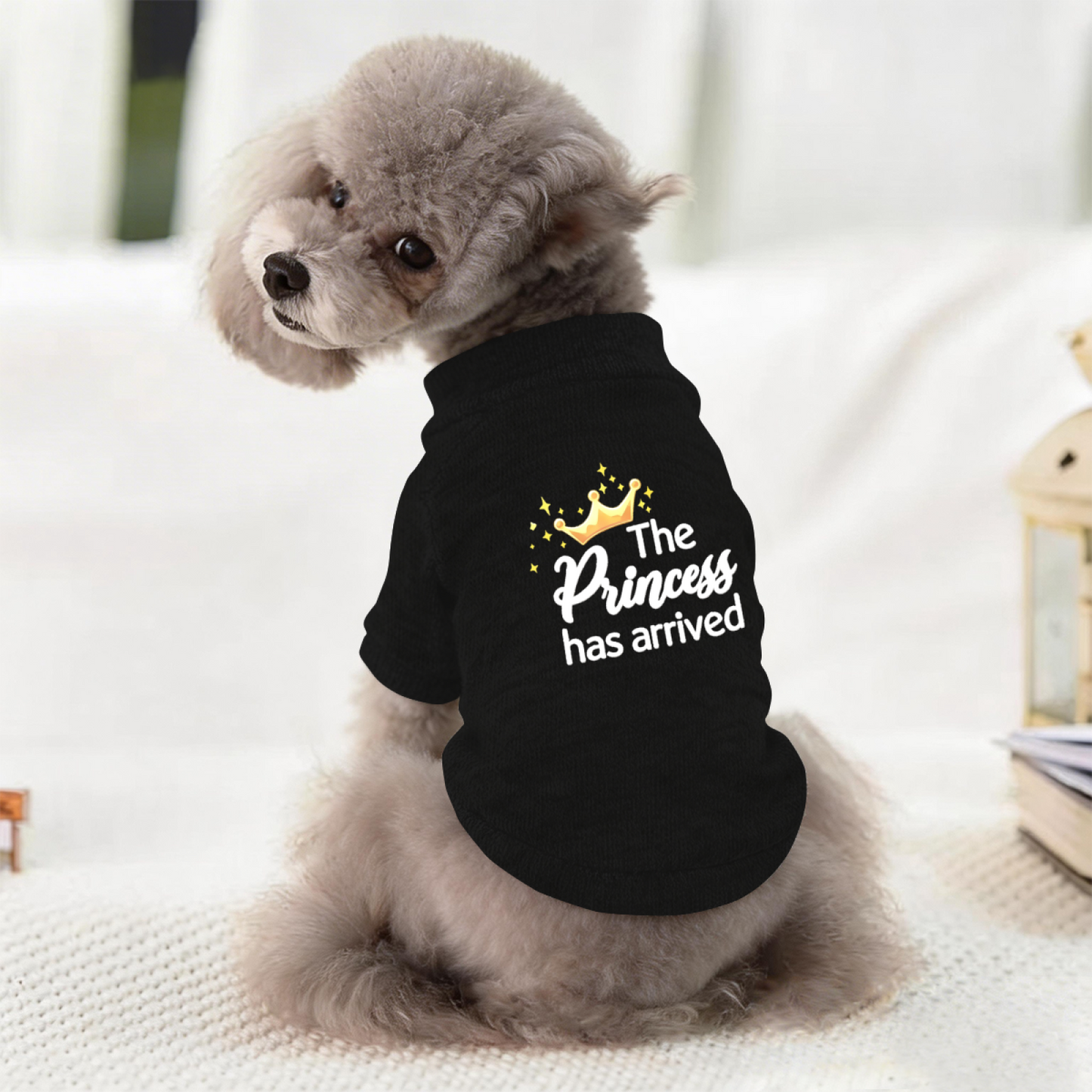 The Princess Has Arrived Cozy Dog Sweater ¨C Royal Cute Pet Outfit