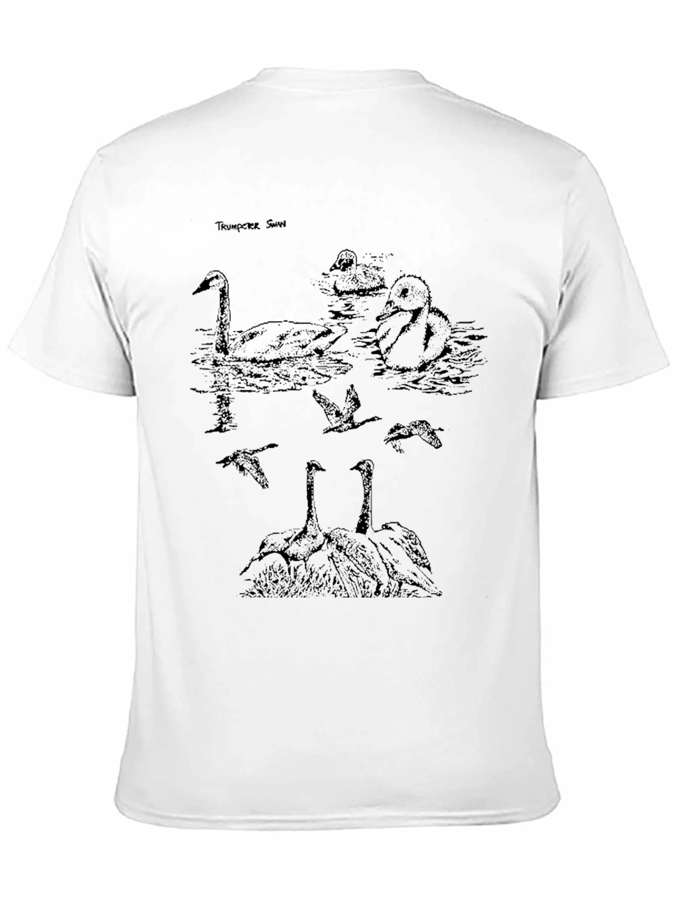 Trumpeter Swan Graphic T-Shirt