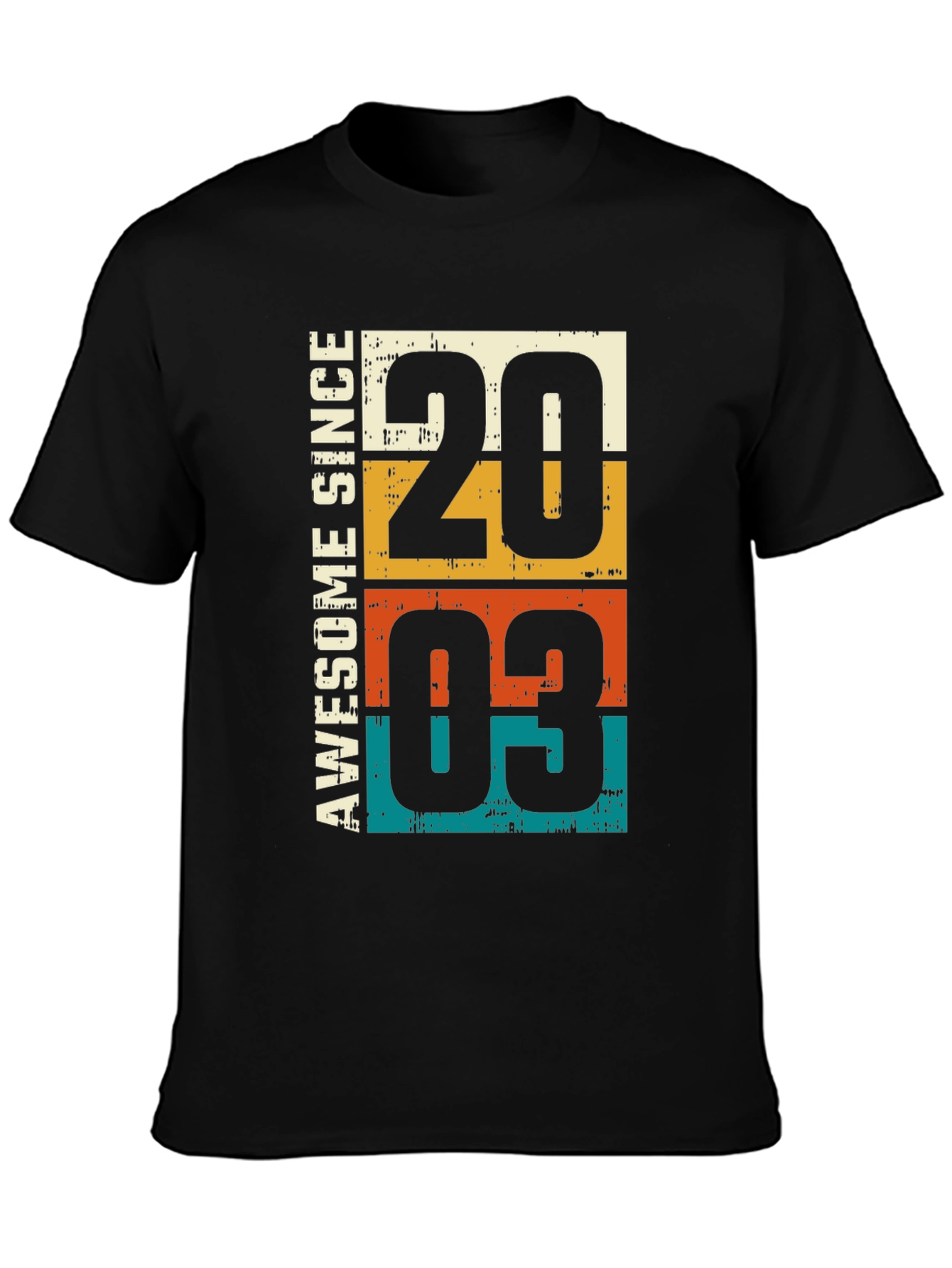 Awesome Since 2003 T-Shirt