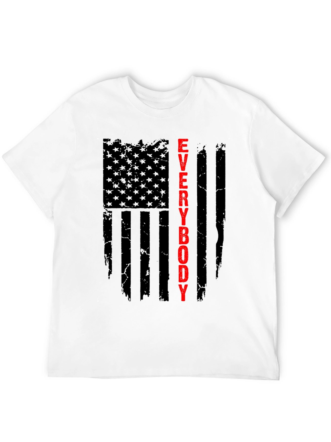 Everybody T-Shirt - Patriotic Flag Design