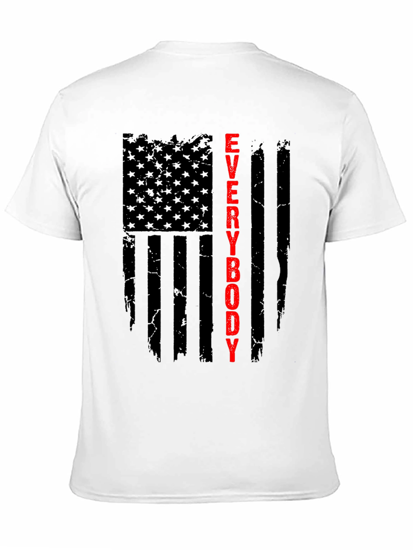 Everybody T-Shirt - Patriotic Flag Design