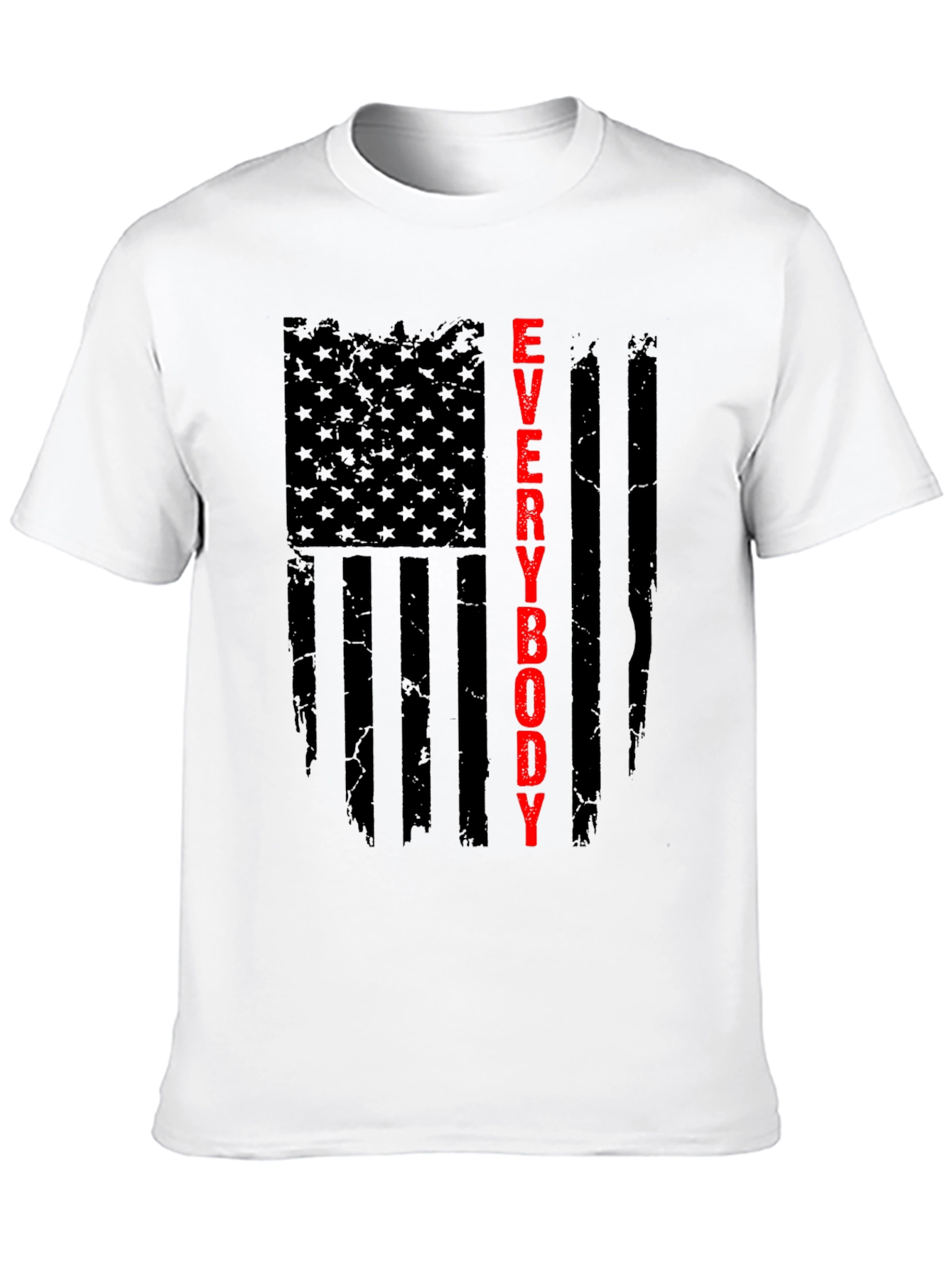 Everybody T-Shirt - Patriotic Flag Design