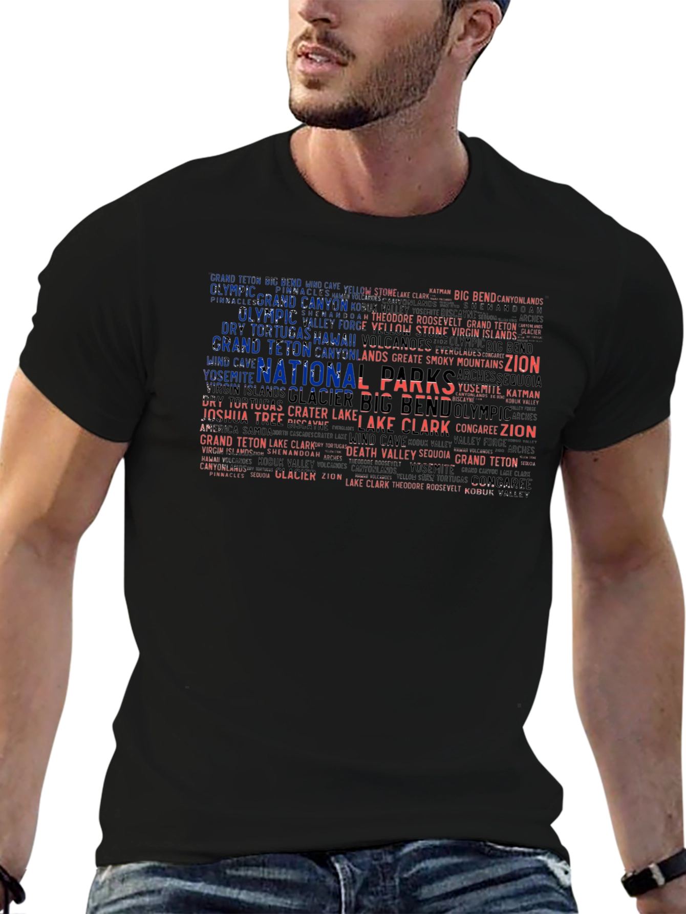 National Park Names USA Flag Graphic T-Shirt