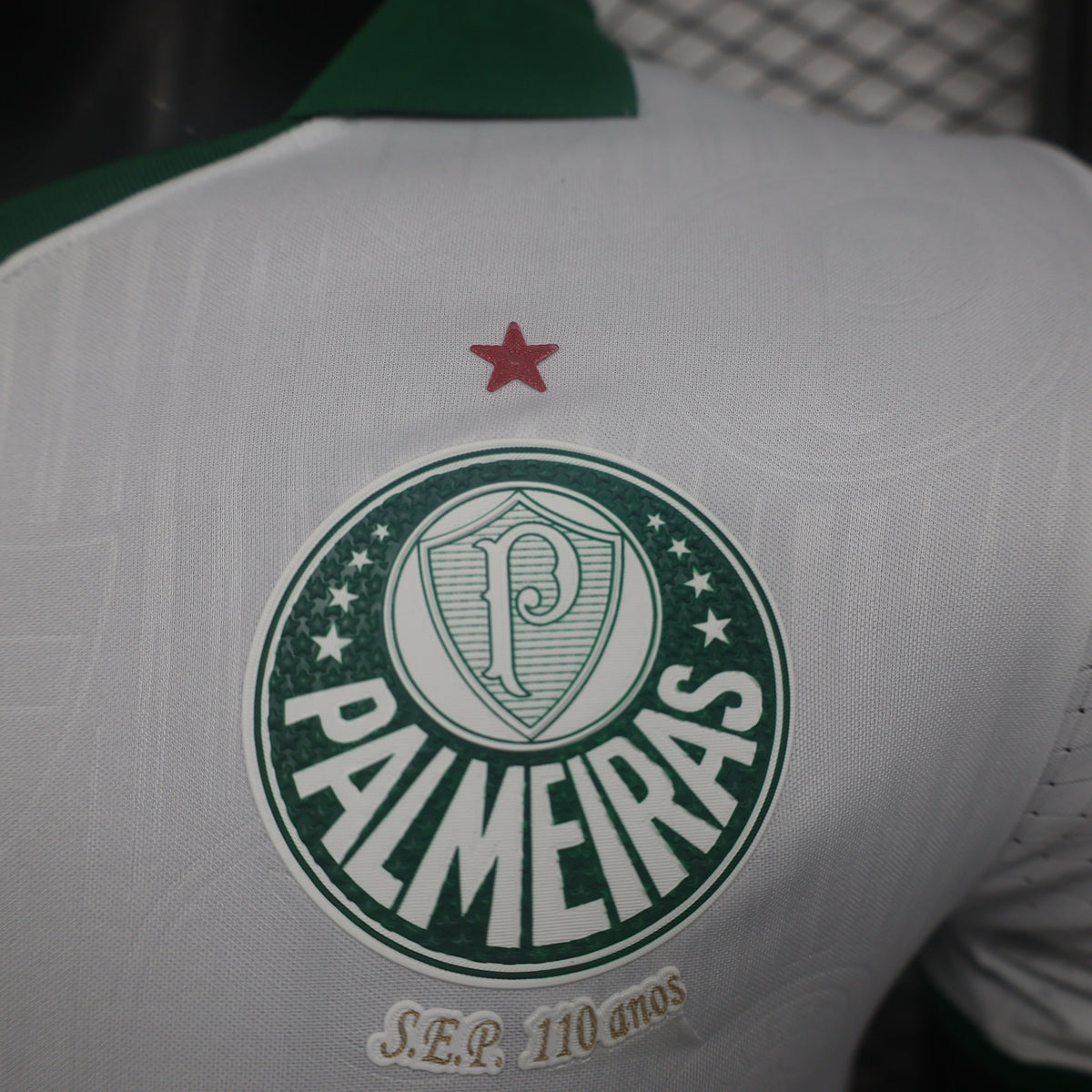 24-25 Palmeiras away player jersey