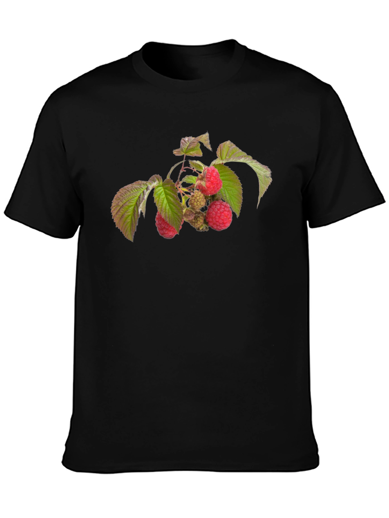 Raspberry Branch Graphic Black T-Shirt