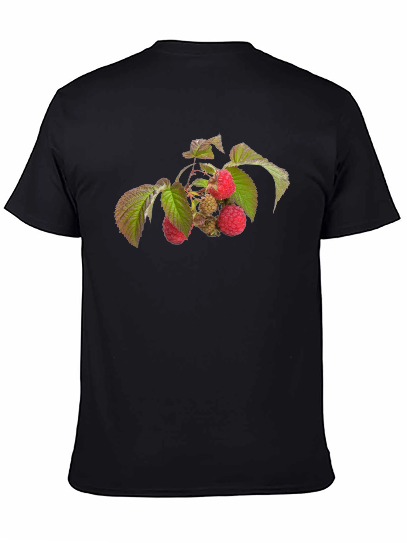 Raspberry Branch Graphic Black T-Shirt