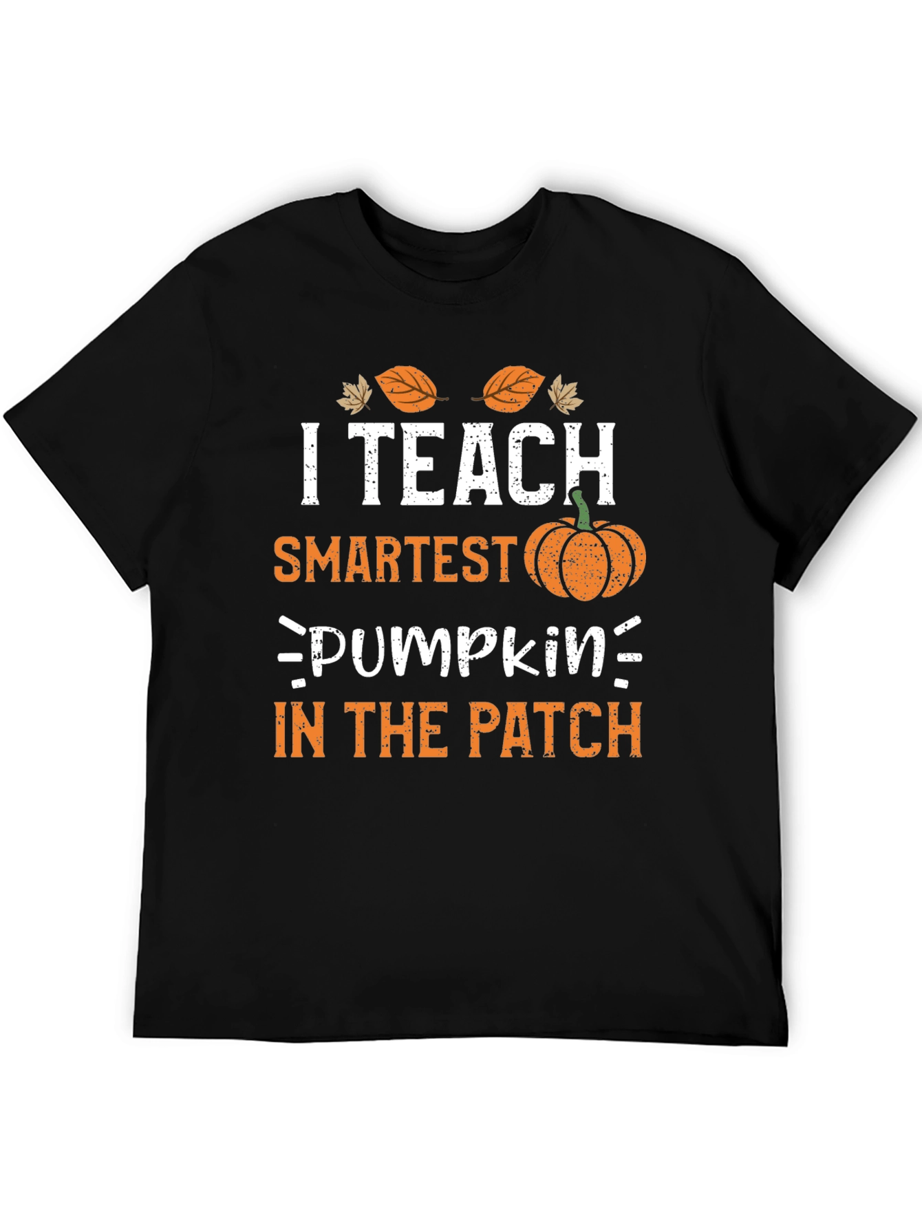 I Teach Smartest Pumpkins in the Patch Fall T-Shirt