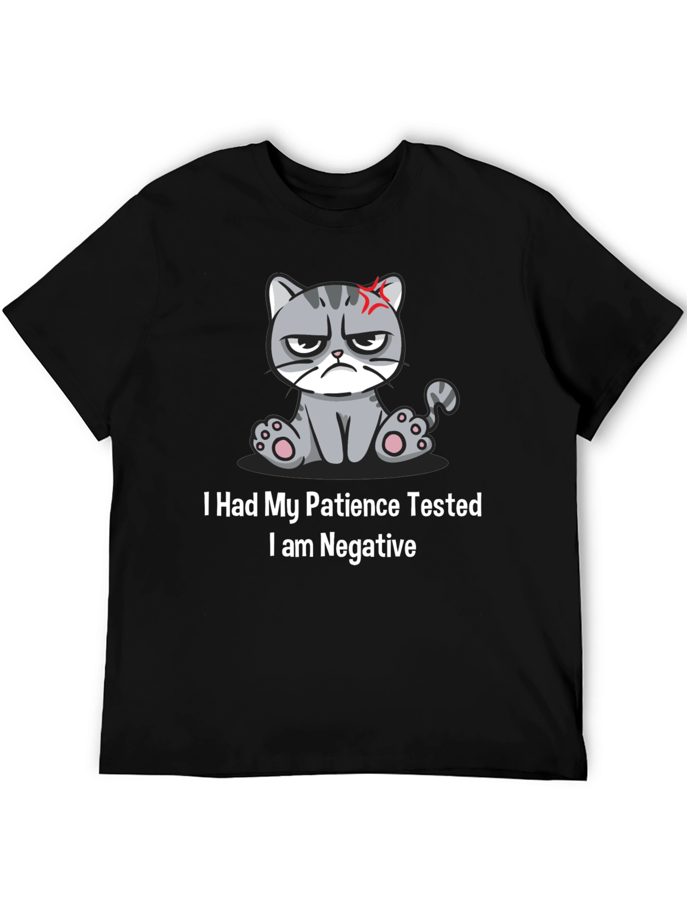 Grumpy Cat Patience Tested T-Shirt