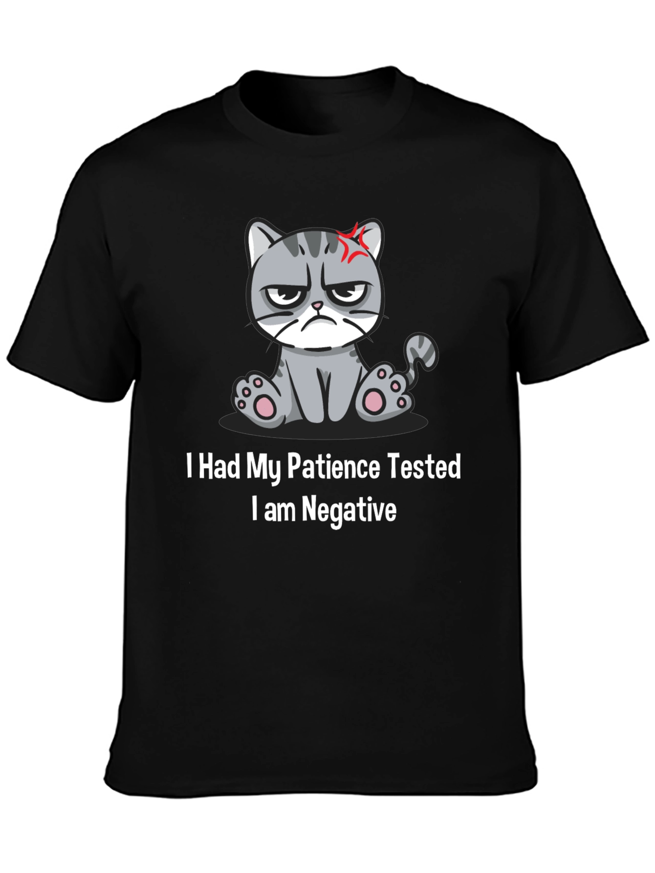Grumpy Cat Patience Tested T-Shirt
