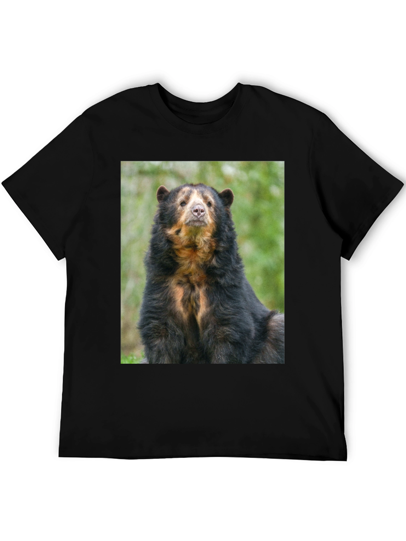 Andean Bear Graphic Tee