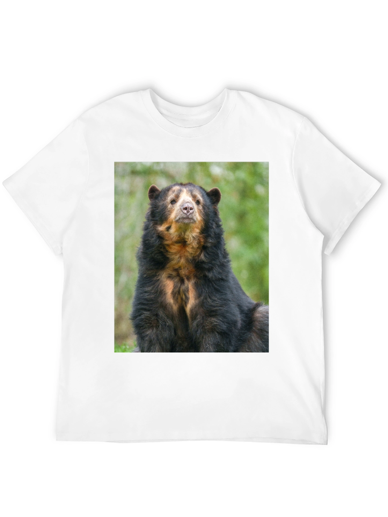 Andean Bear Graphic Tee