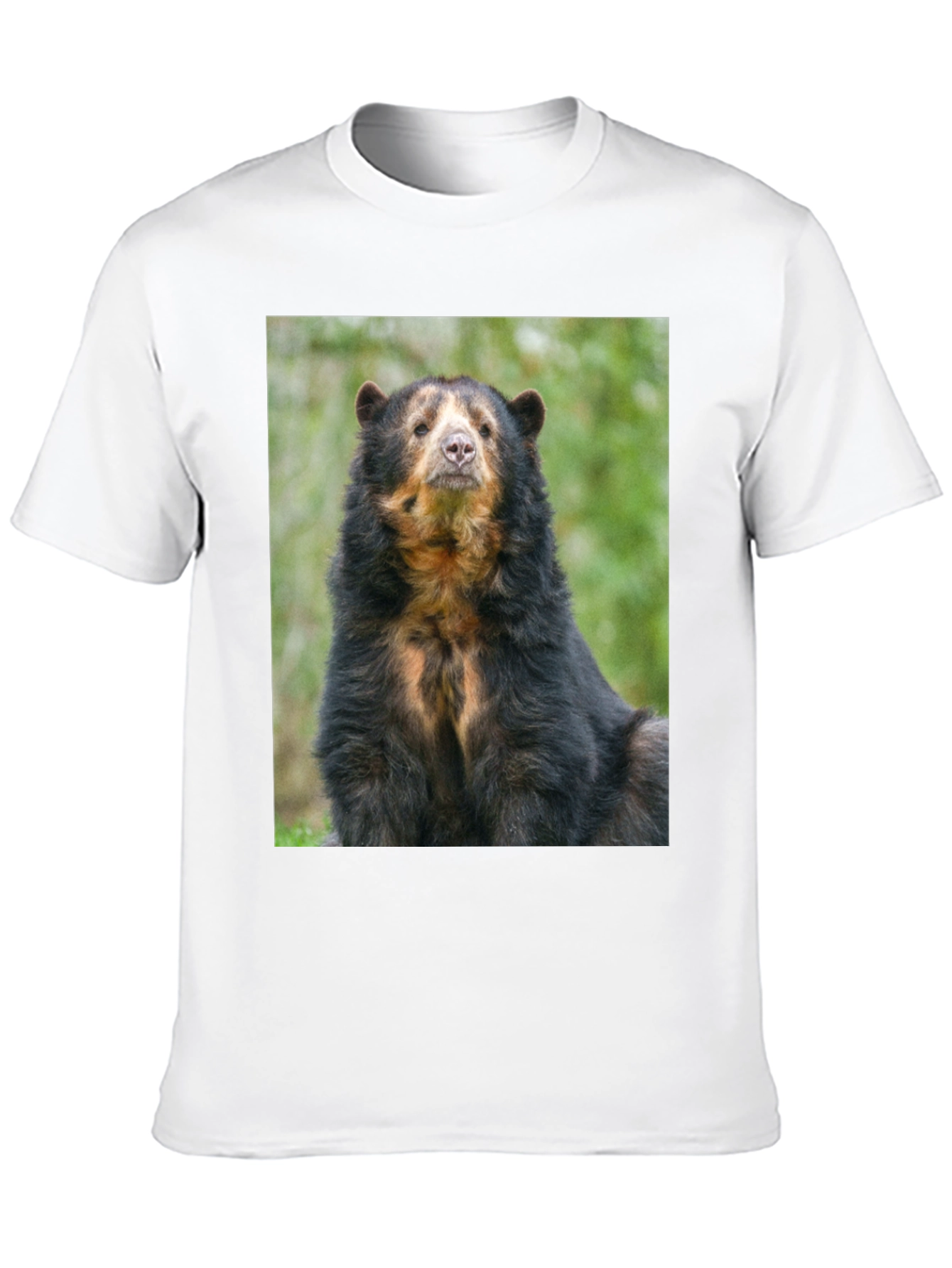 Andean Bear Graphic Tee