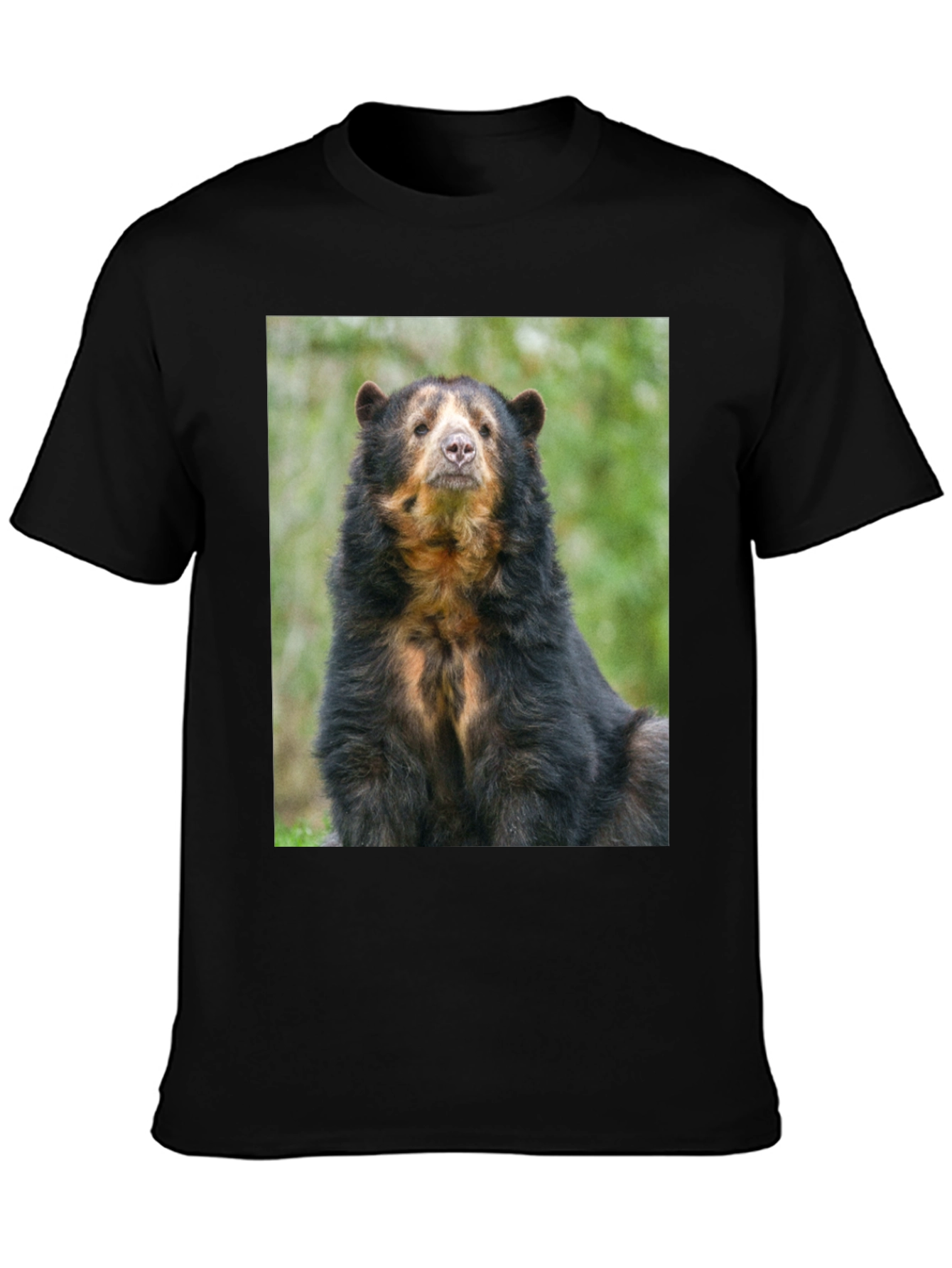 Andean Bear Graphic Tee