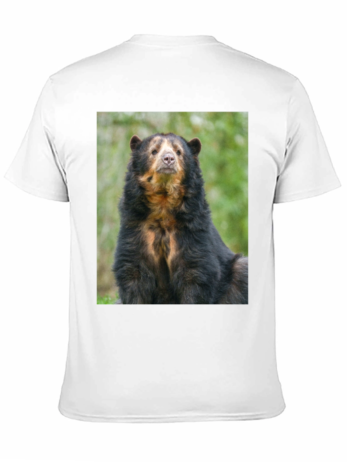 Andean Bear Graphic Tee