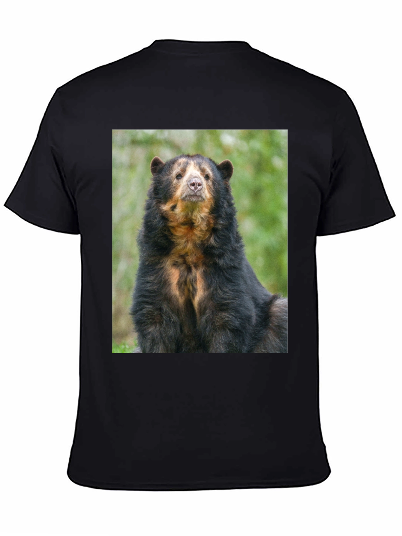 Andean Bear Graphic Tee