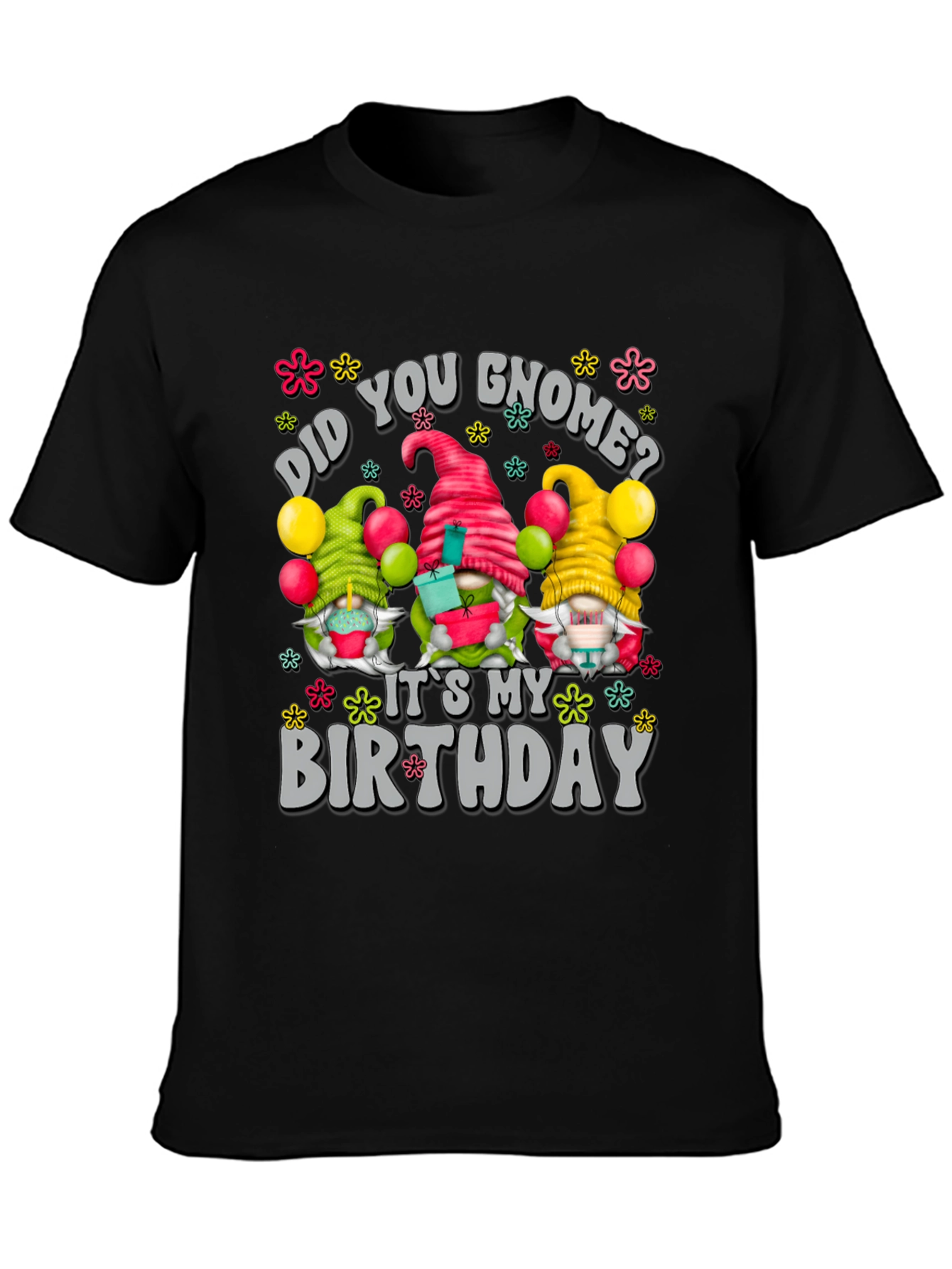Did You Gnome? Birthday T-Shirt