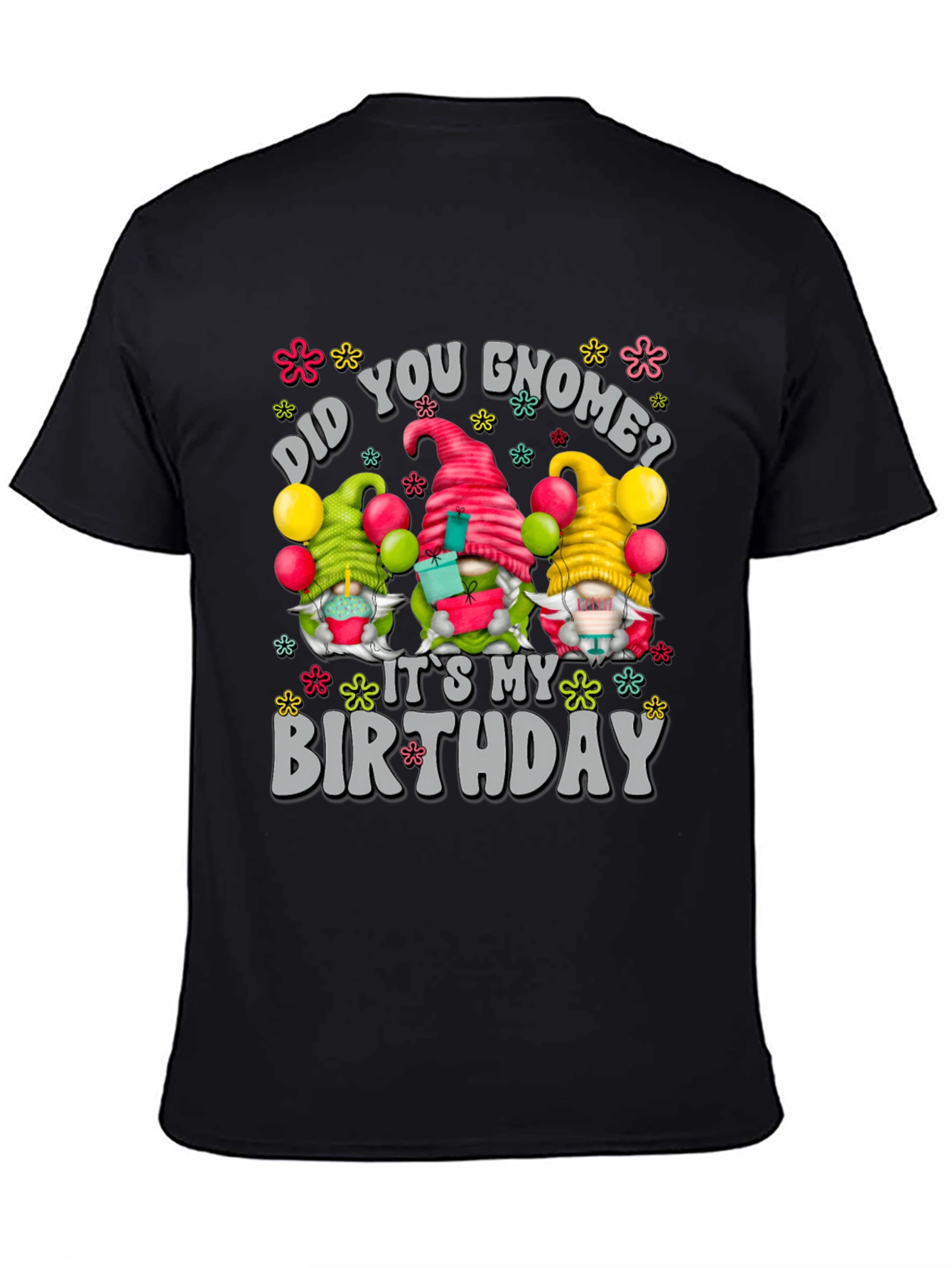 Did You Gnome? Birthday T-Shirt