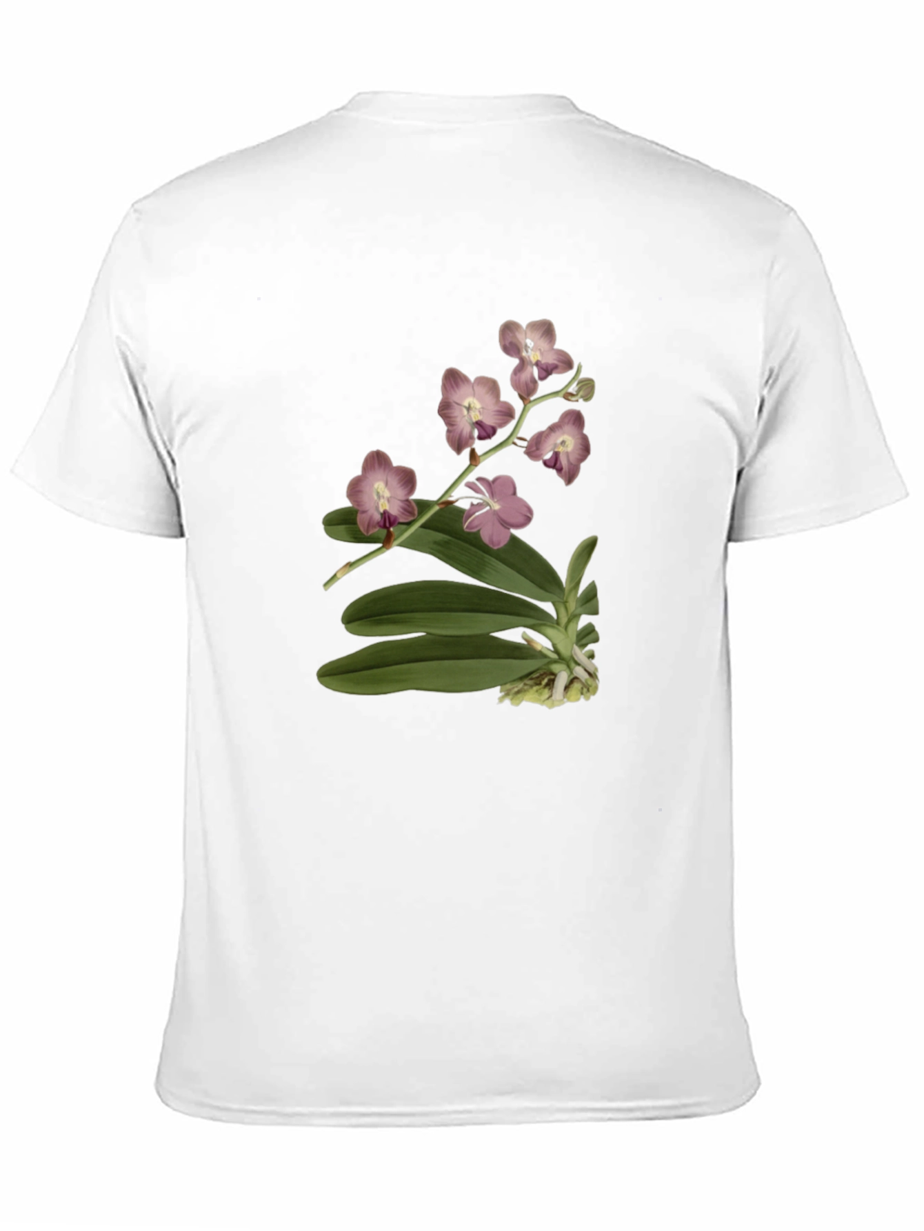 Botanical Orchid Print Black T-Shirt