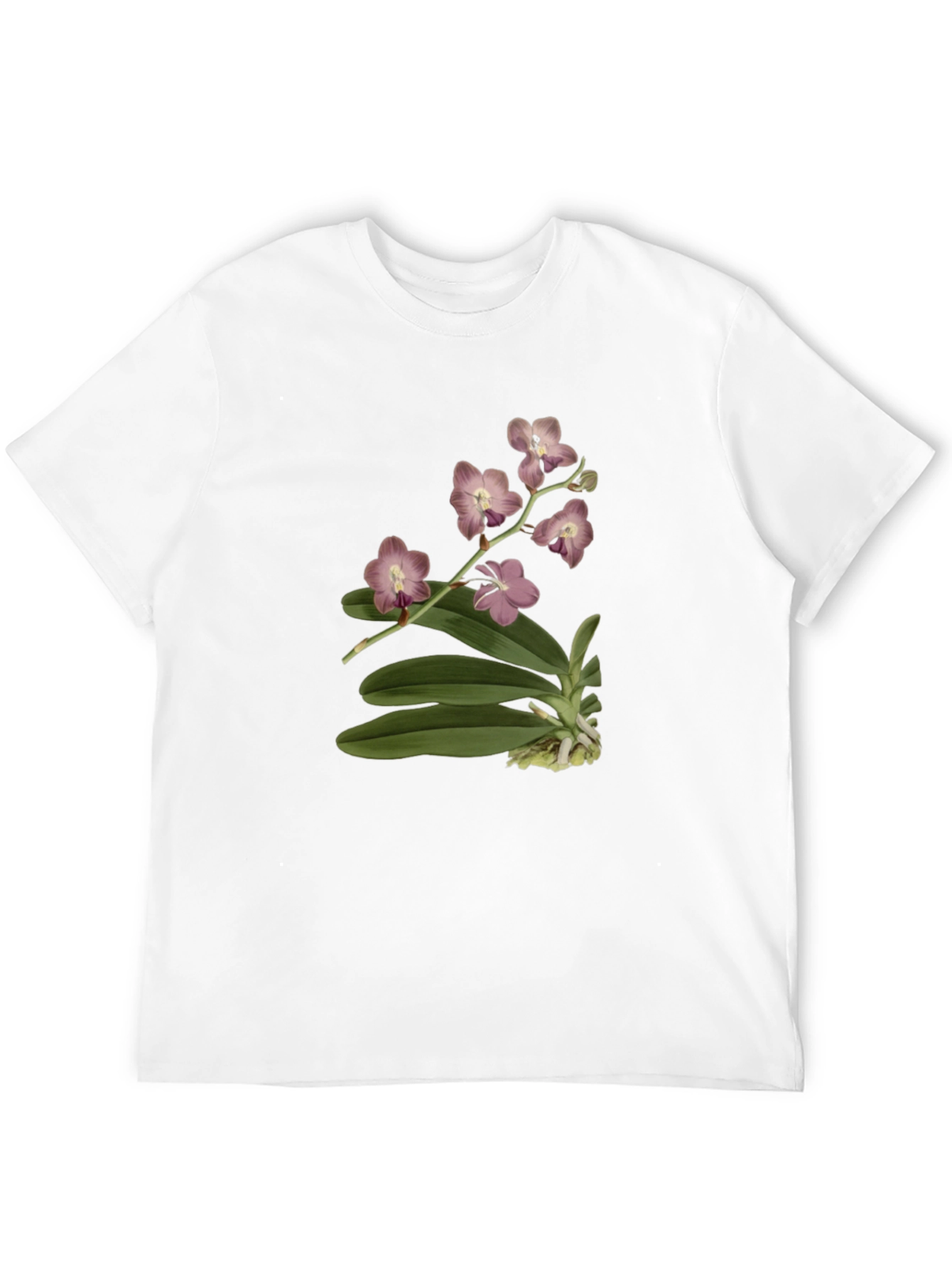 Botanical Orchid Print Black T-Shirt