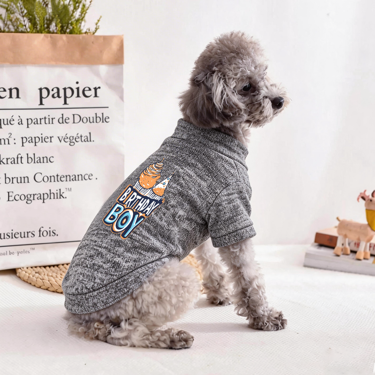 Birthday Boy Color Cupcake Grey Party Dog Outfit