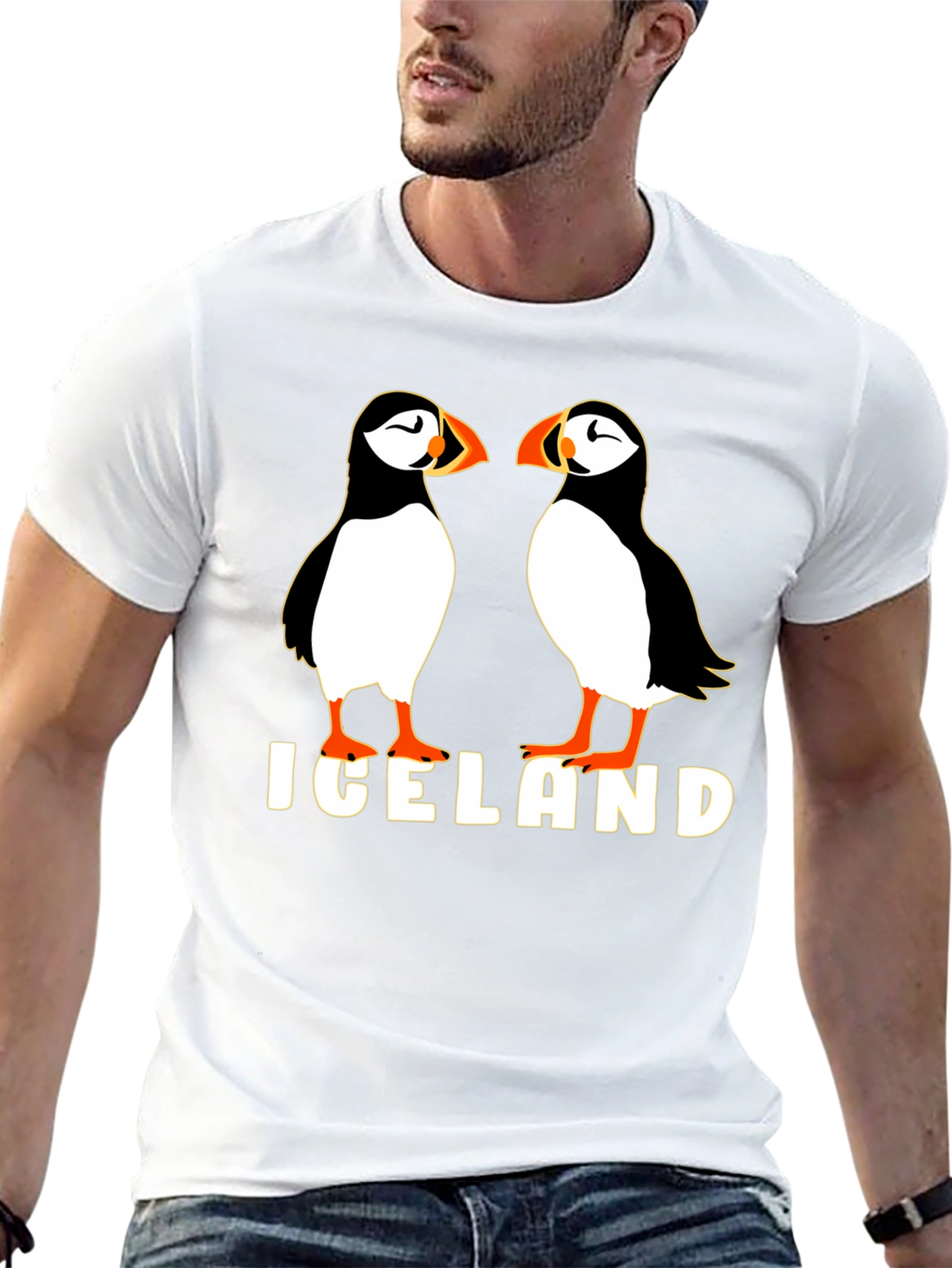 Iceland Puffin Graphic Tee - Black