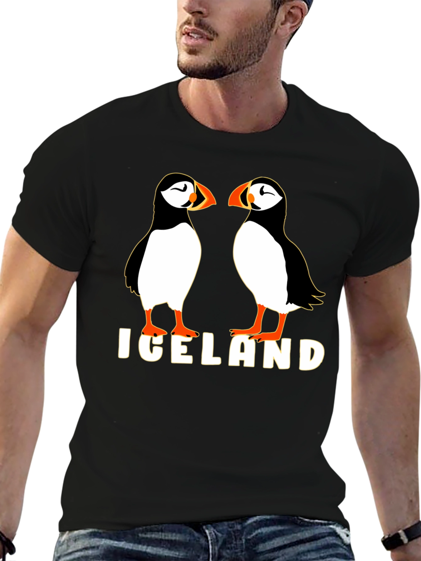 Iceland Puffin Graphic Tee - Black