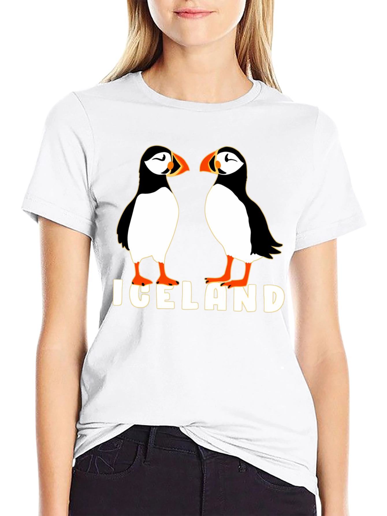 Iceland Puffin Graphic Tee - Black
