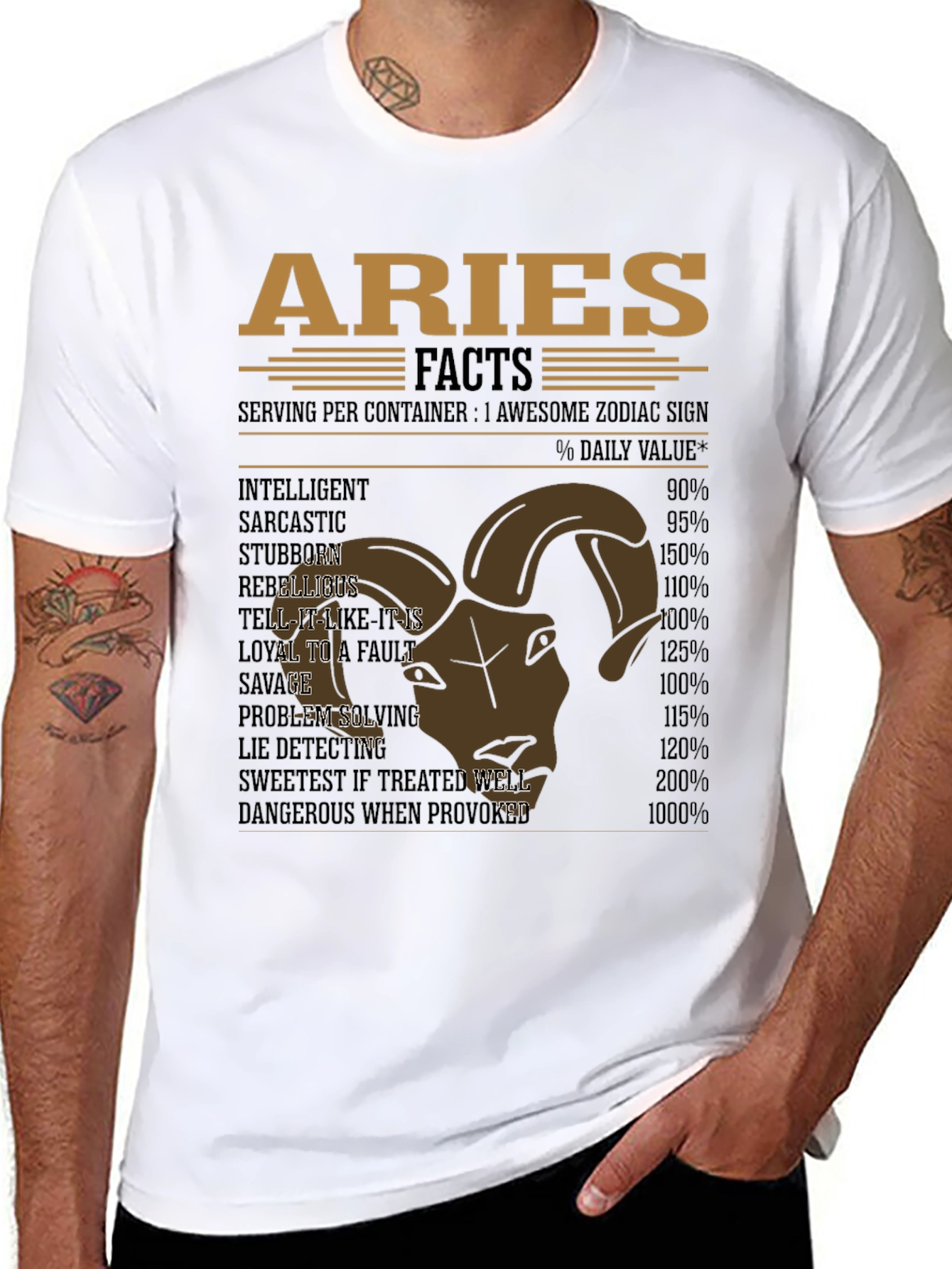 Aries Zodiac Facts T-Shirt