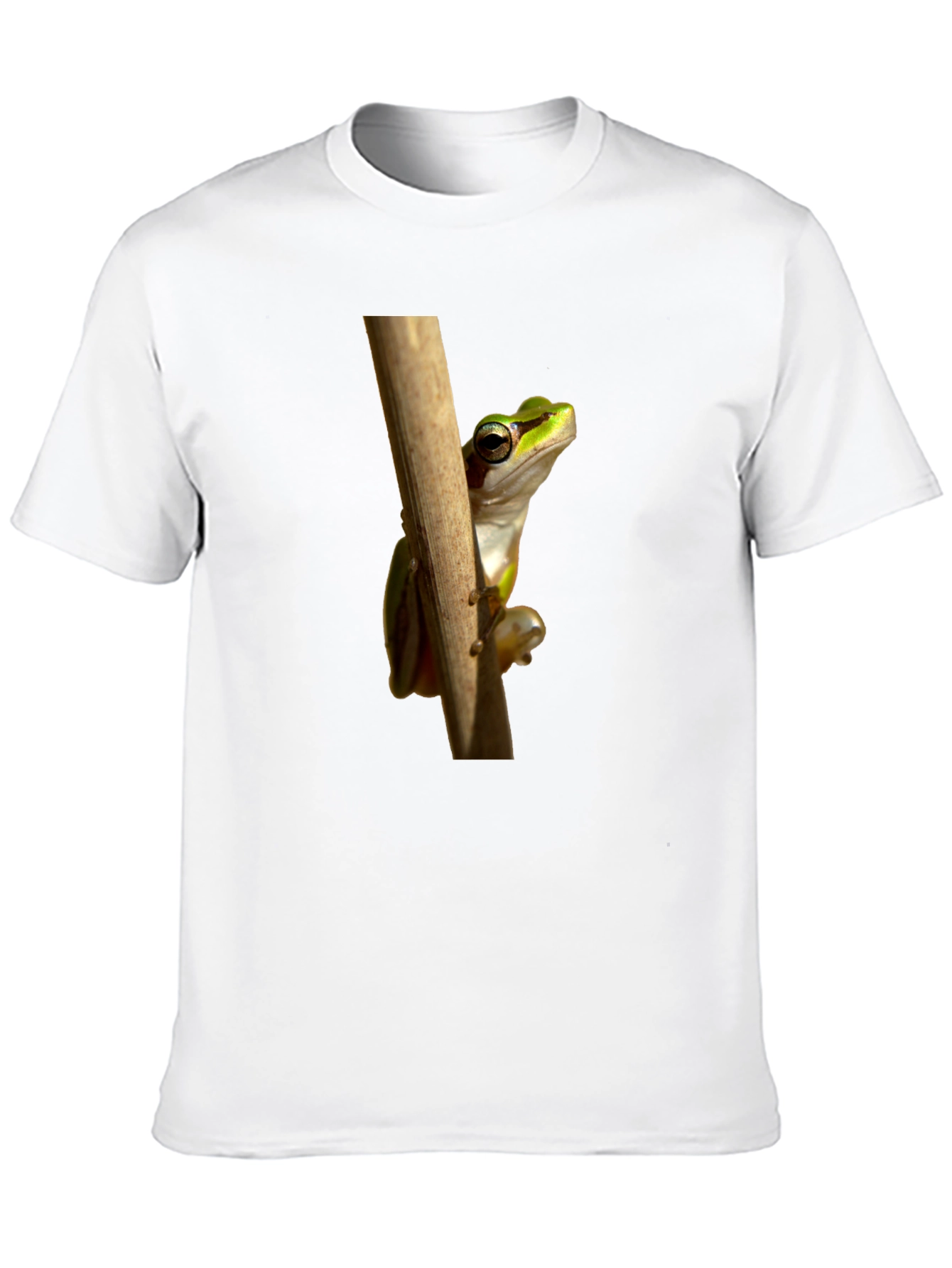 Frog on Branch Graphic T-Shirt - Black