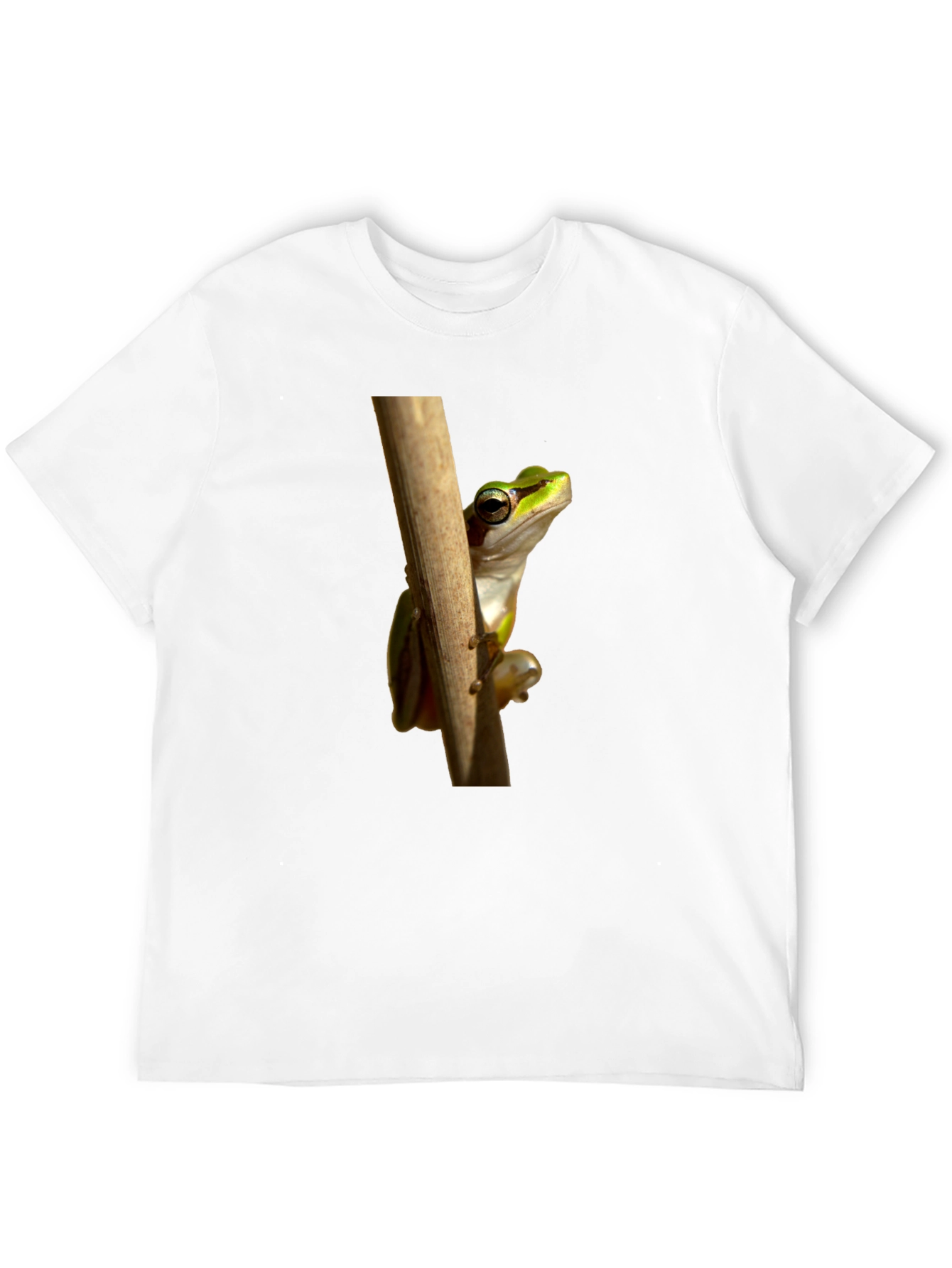 Frog on Branch Graphic T-Shirt - Black
