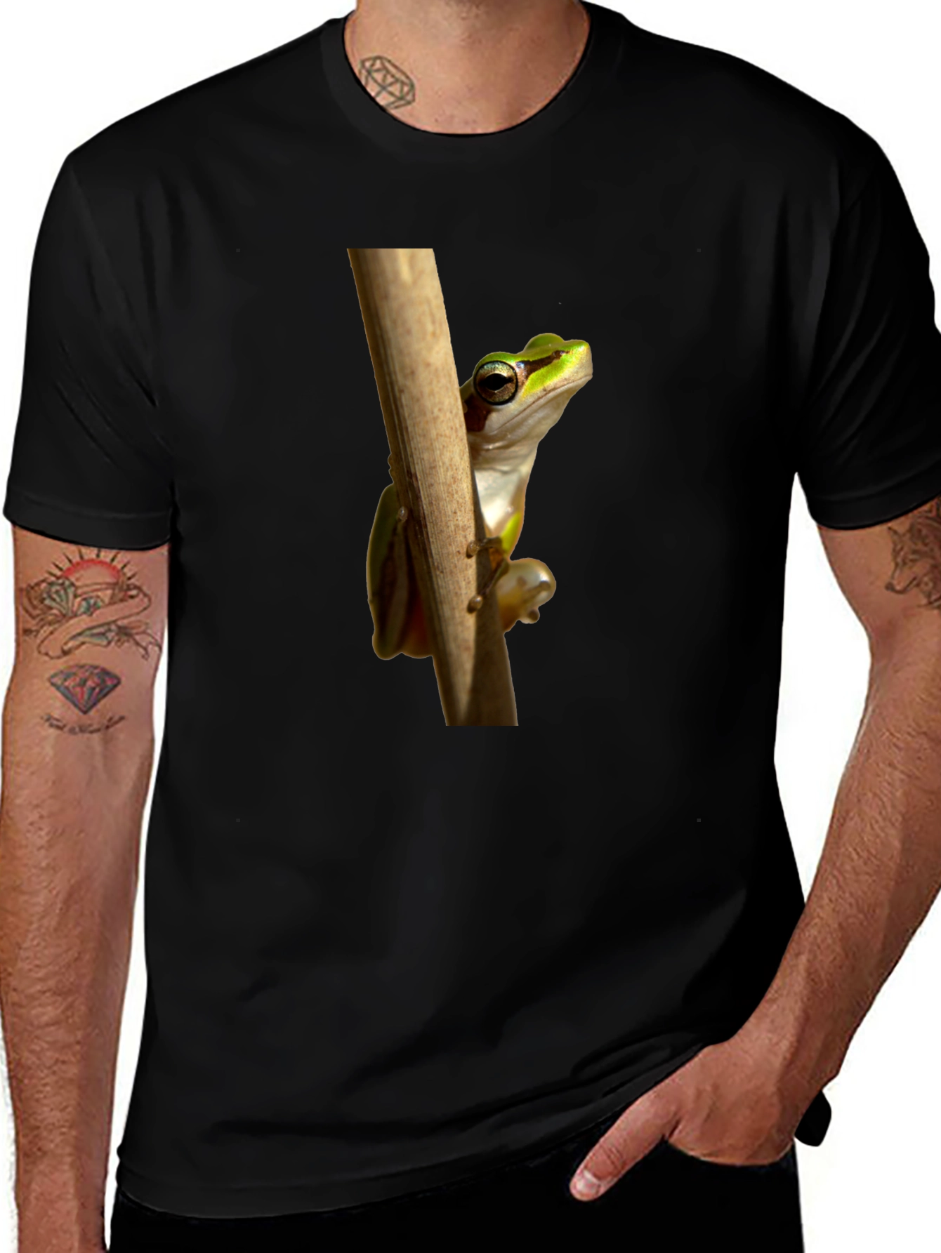 Frog on Branch Graphic T-Shirt - Black