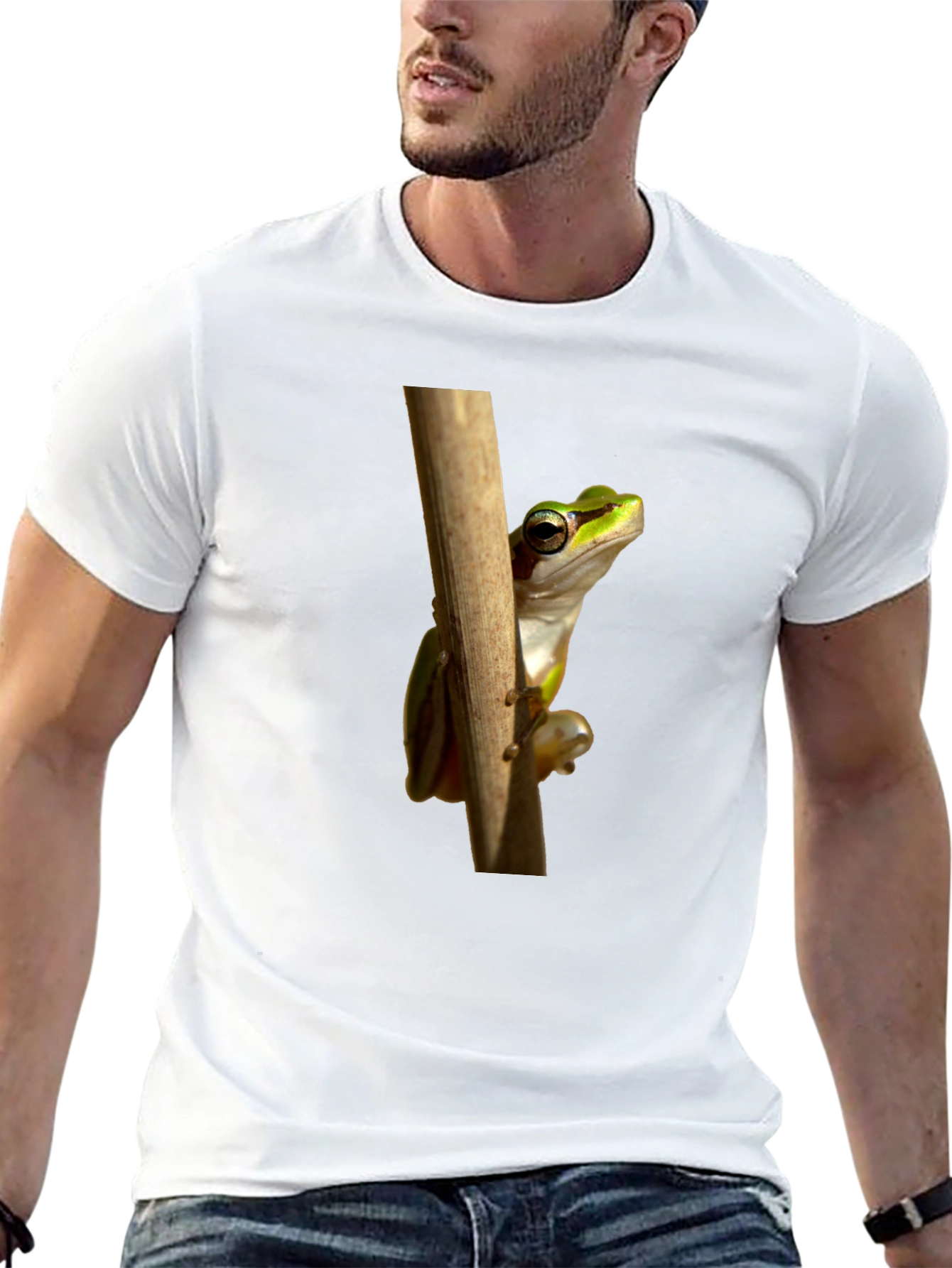 Frog on Branch Graphic T-Shirt - Black