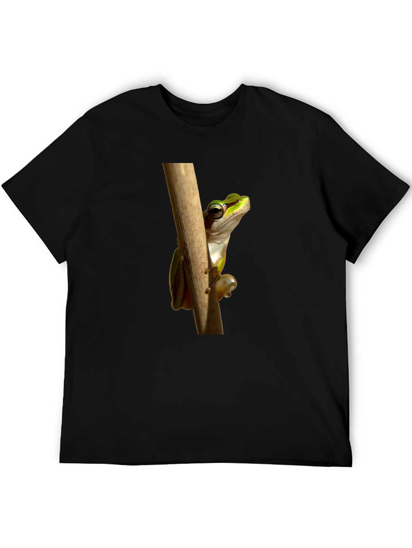 Frog on Branch Graphic T-Shirt - Black