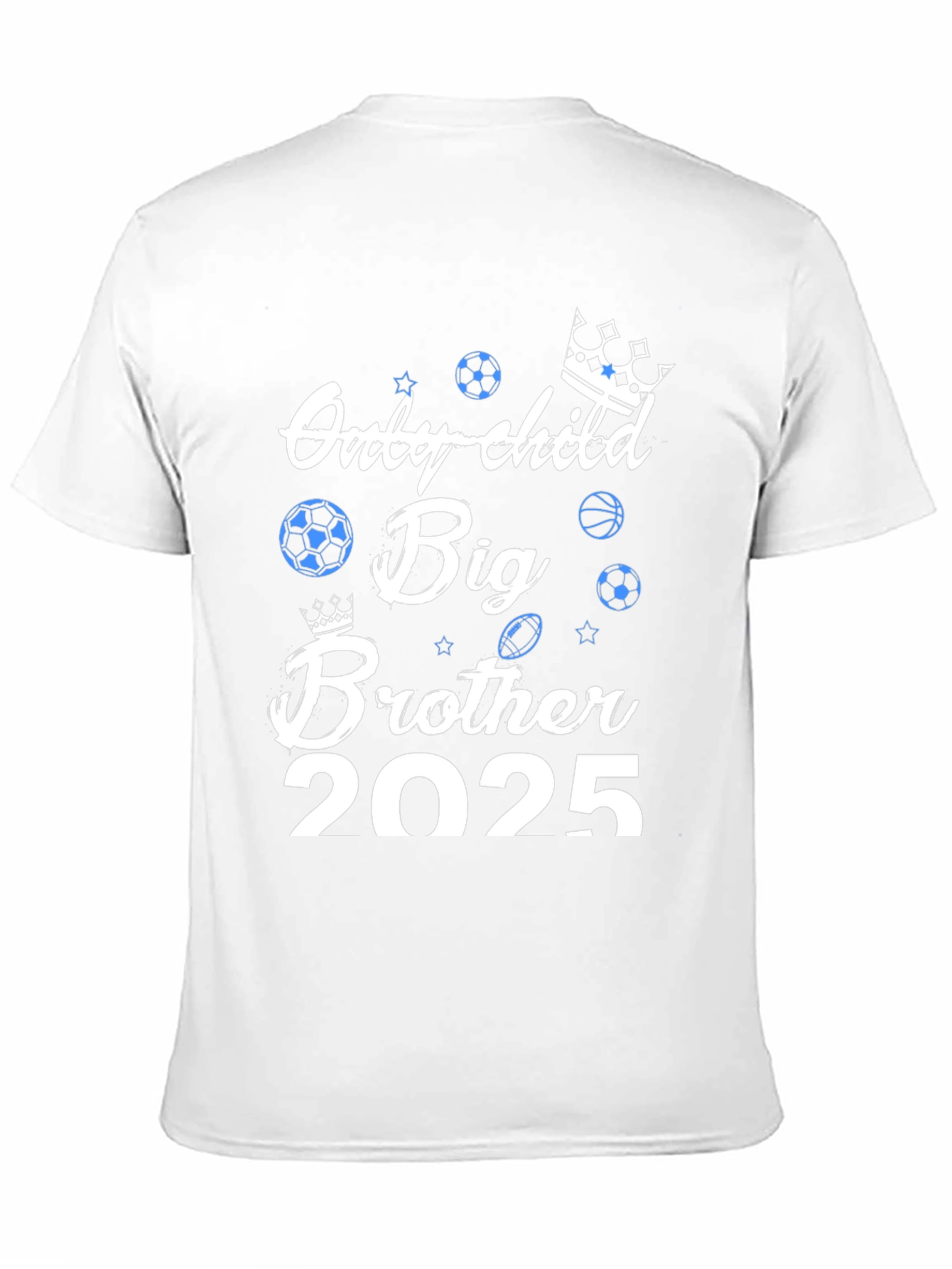 Big Brother 2025 Graphic Tee