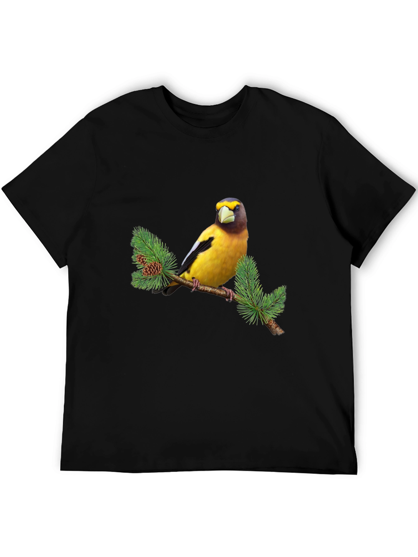 Bird on Branch Graphic Tee - Black