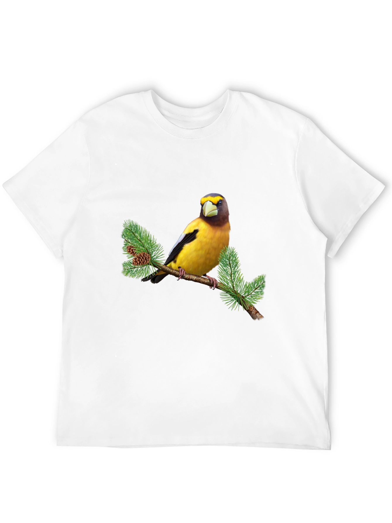 Bird on Branch Graphic Tee - Black