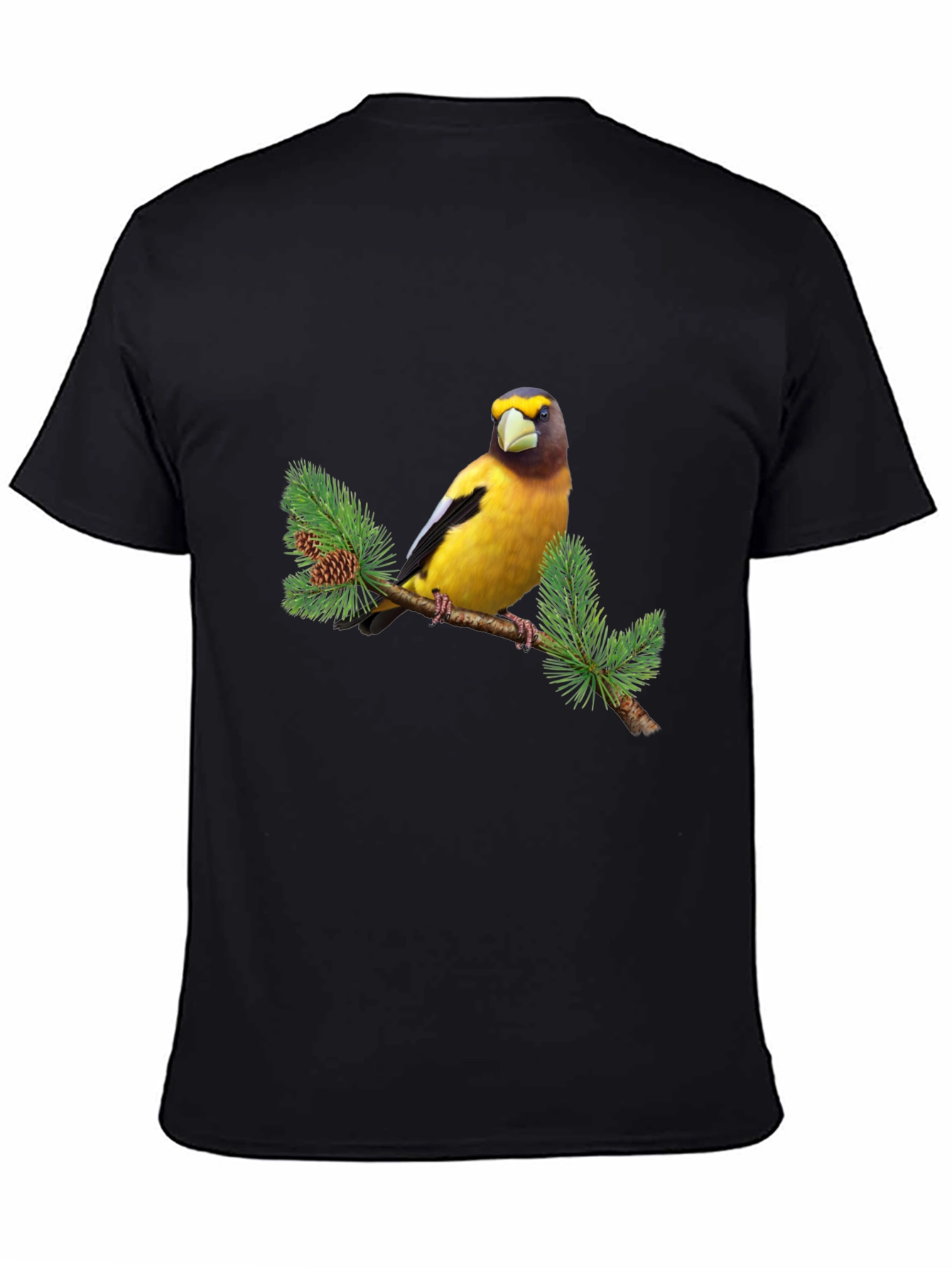 Bird on Branch Graphic Tee - Black