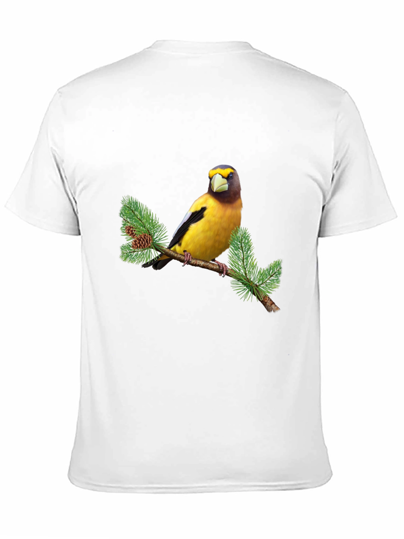 Bird on Branch Graphic Tee - Black