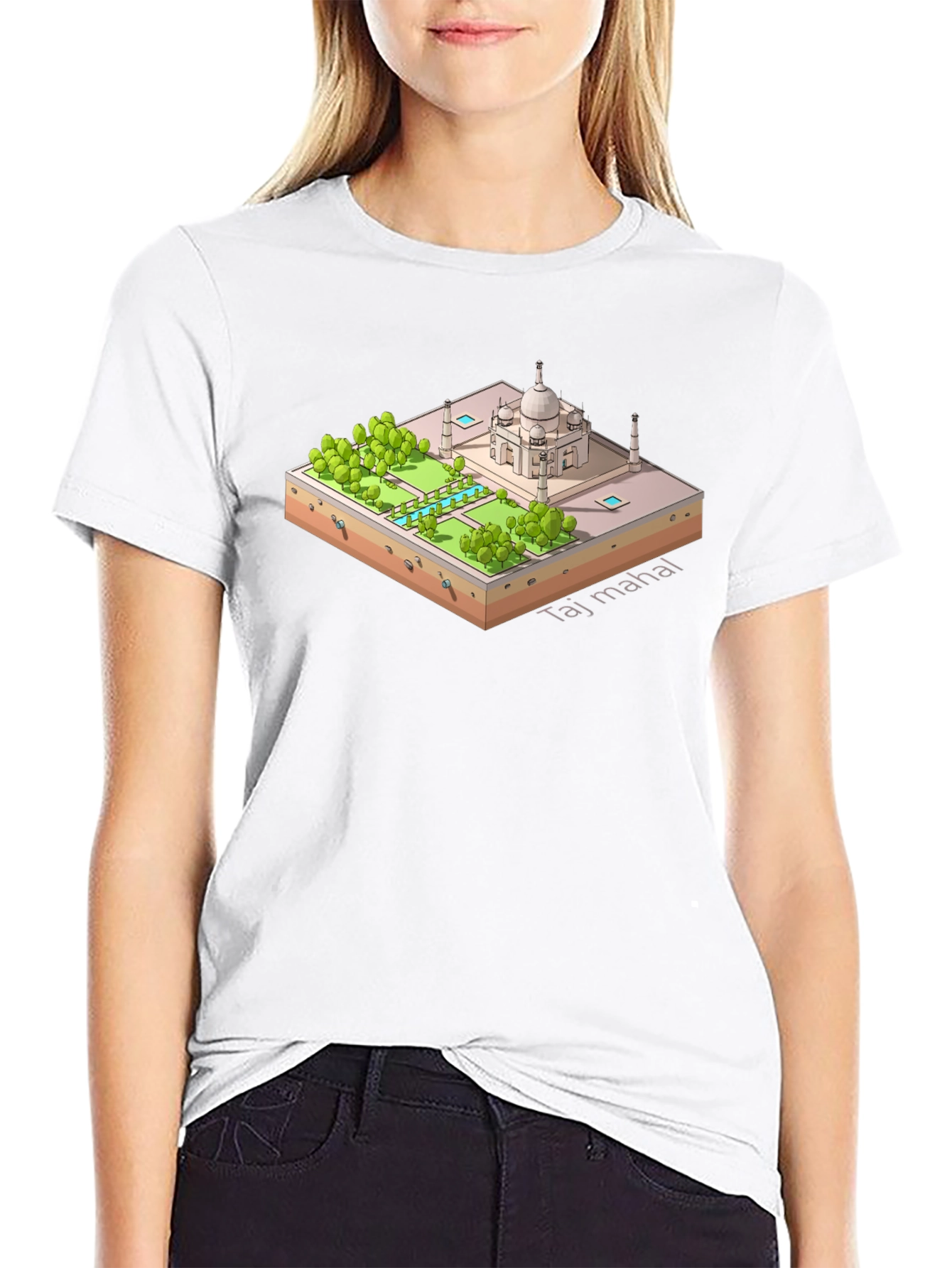Taj Mahal Isometric Art Black T-Shirt