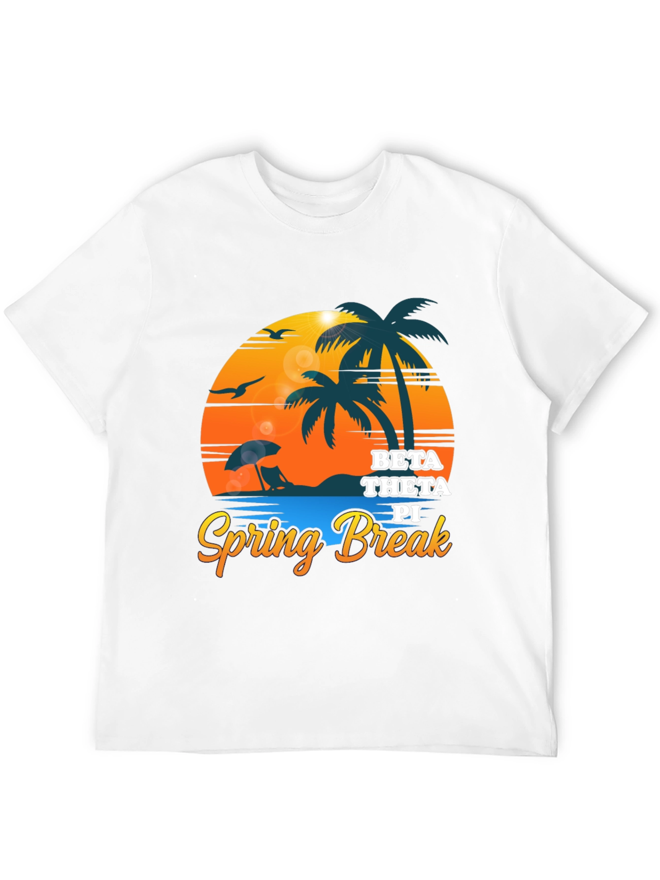 Beta Theta Pi Spring Break Black T-Shirt