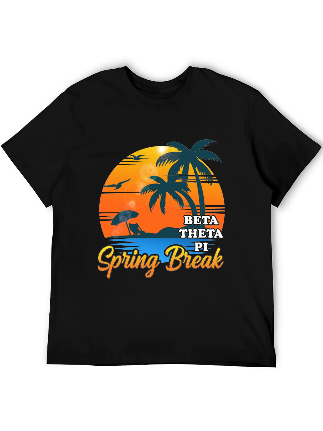 Beta Theta Pi Spring Break Black T-Shirt