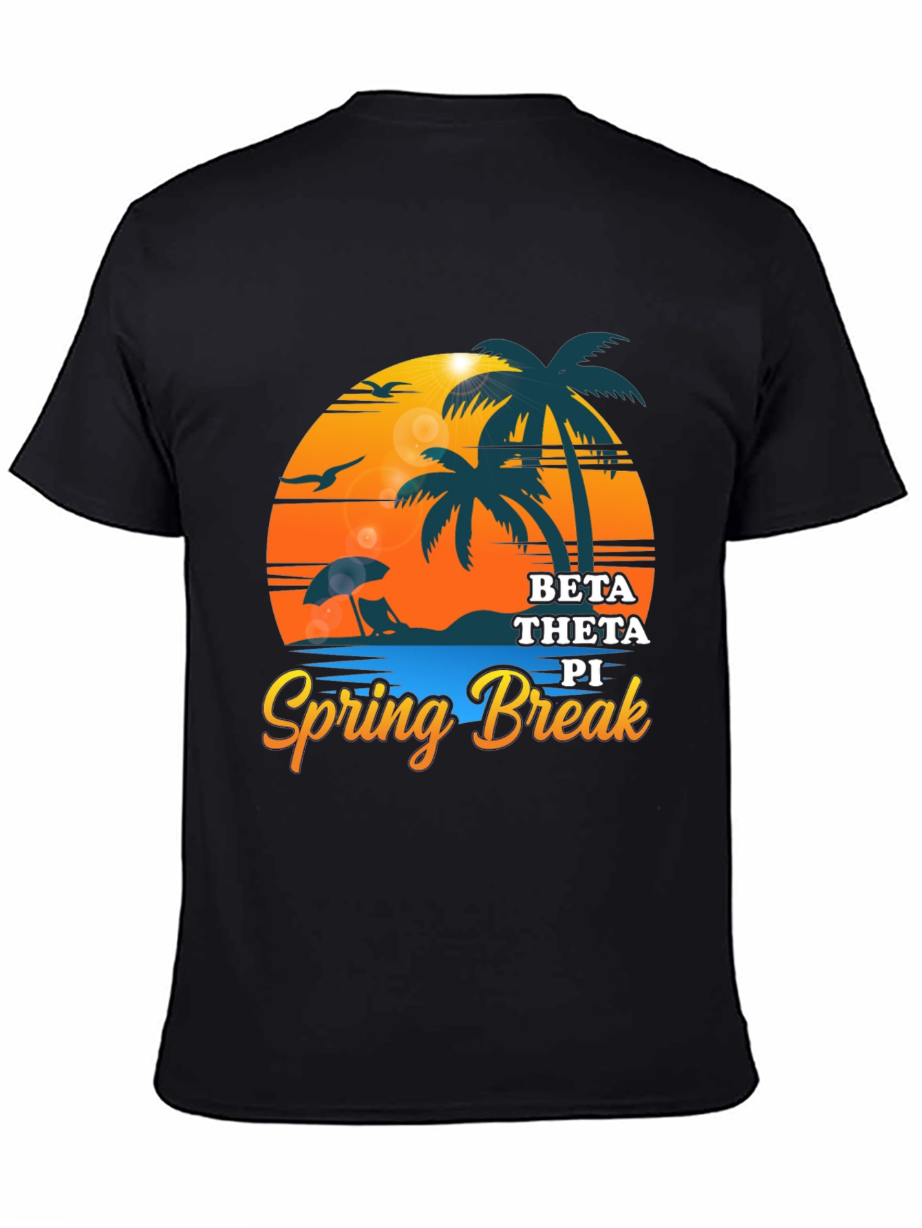 Beta Theta Pi Spring Break Black T-Shirt